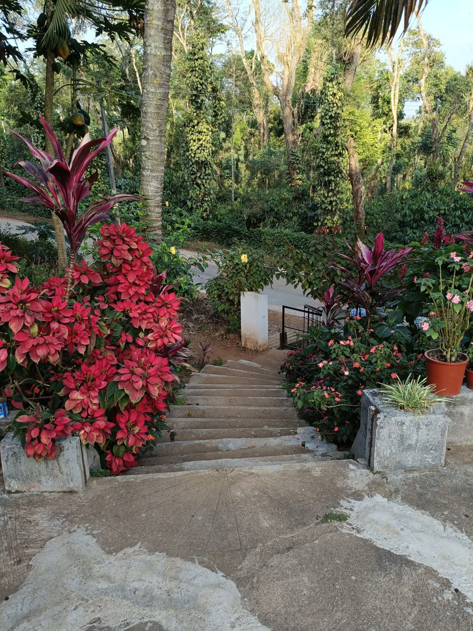 Cozy Haven at the Blue Mountains Estate stay 19