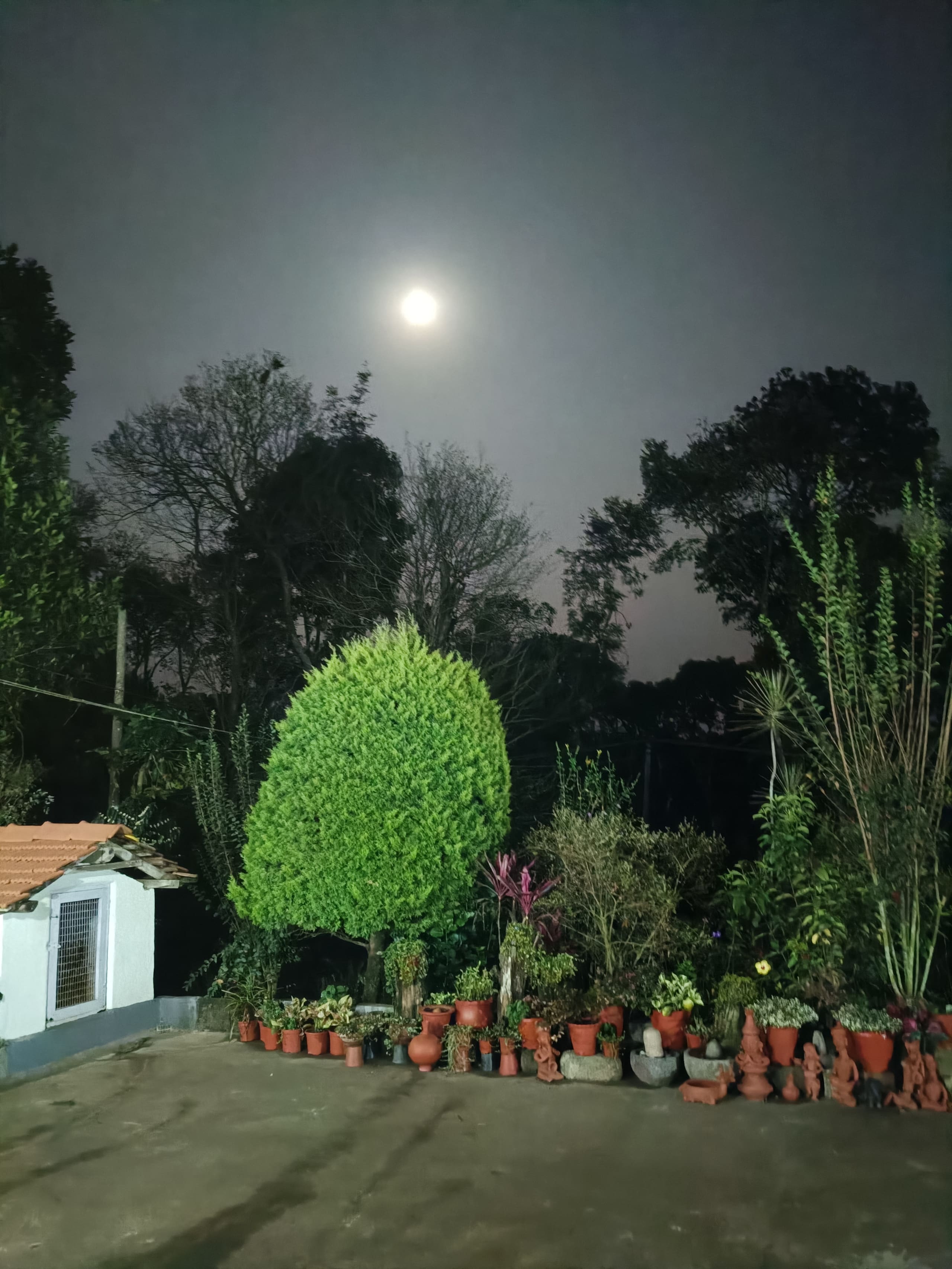 Cozy Haven at the Blue Mountains Estate stay 21