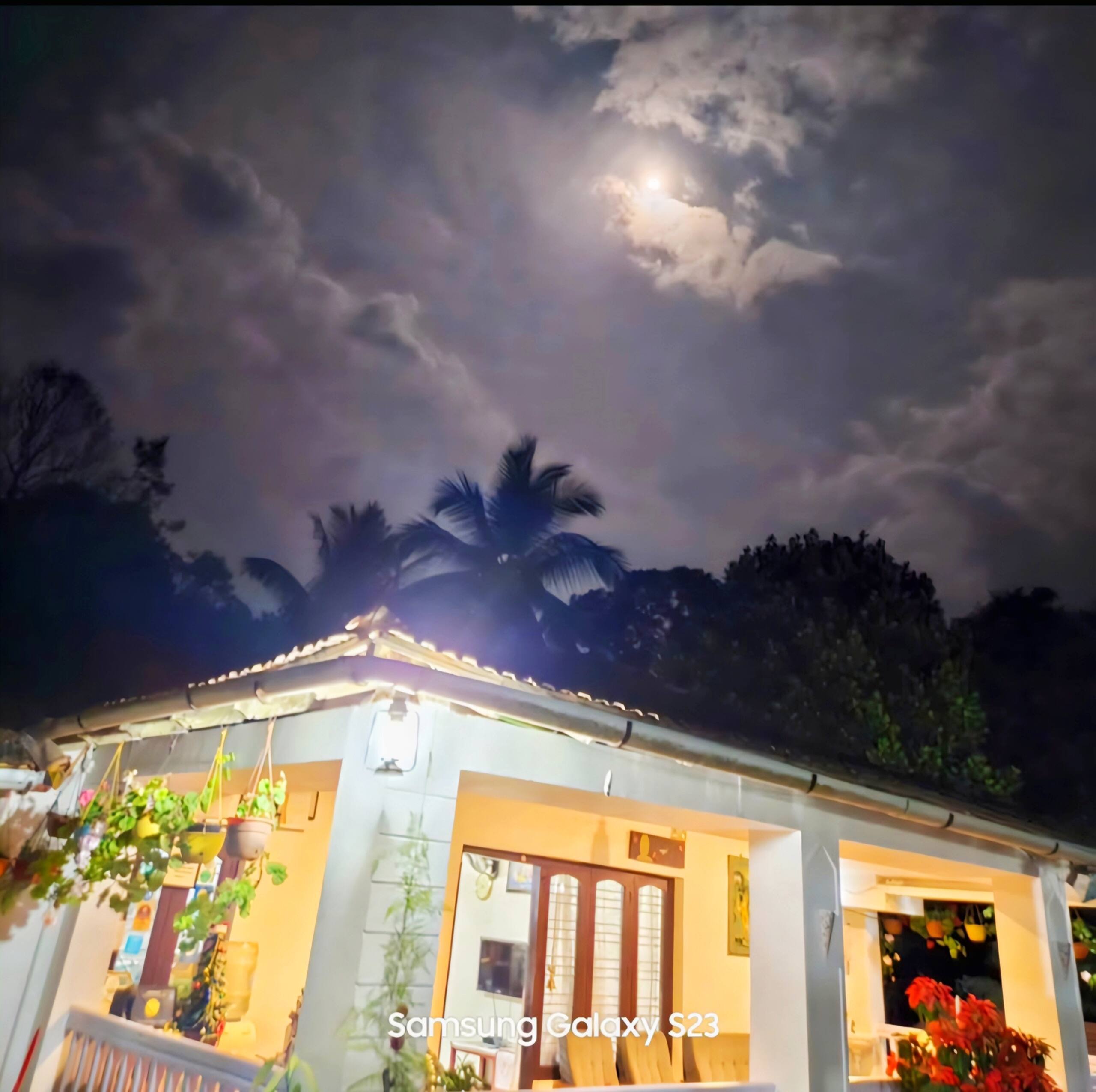 Cozy Haven at the Blue Mountains Estate stay — photo 4