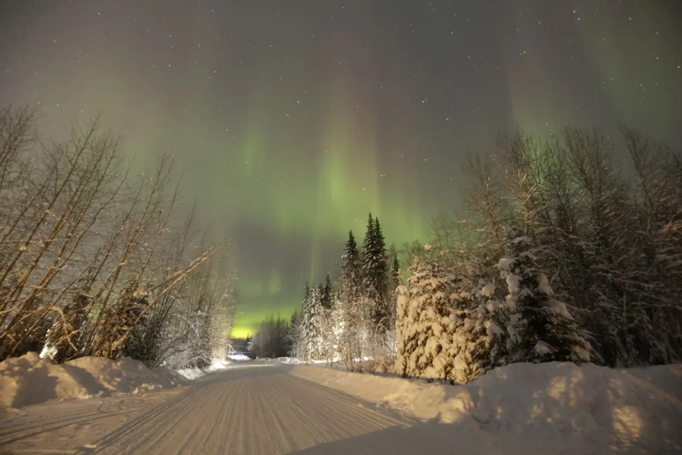 Fly Away Home with Aurora Views 7