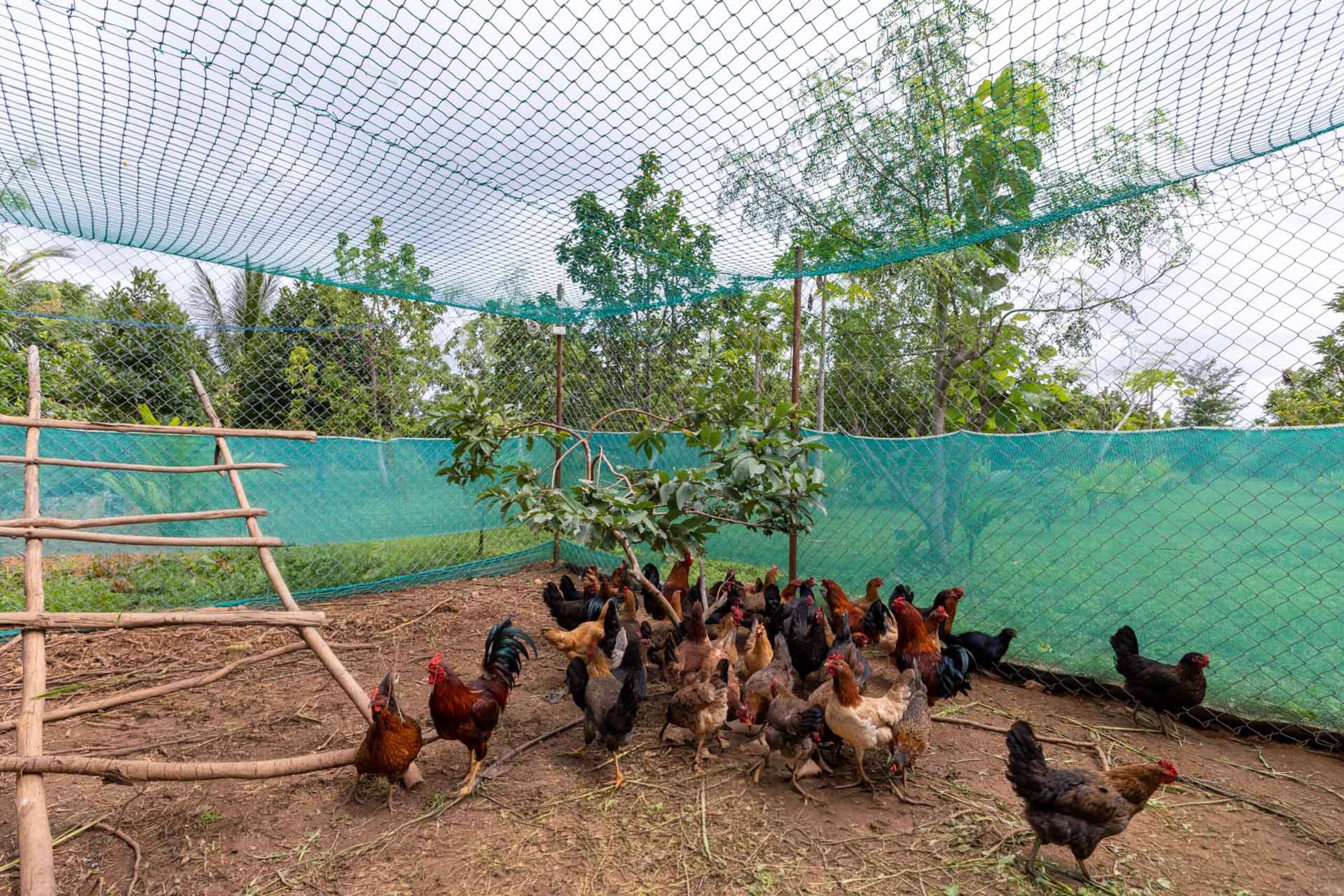 StayVista at Feel Good Farm Stay w/ BBQ & Bonfire 21
