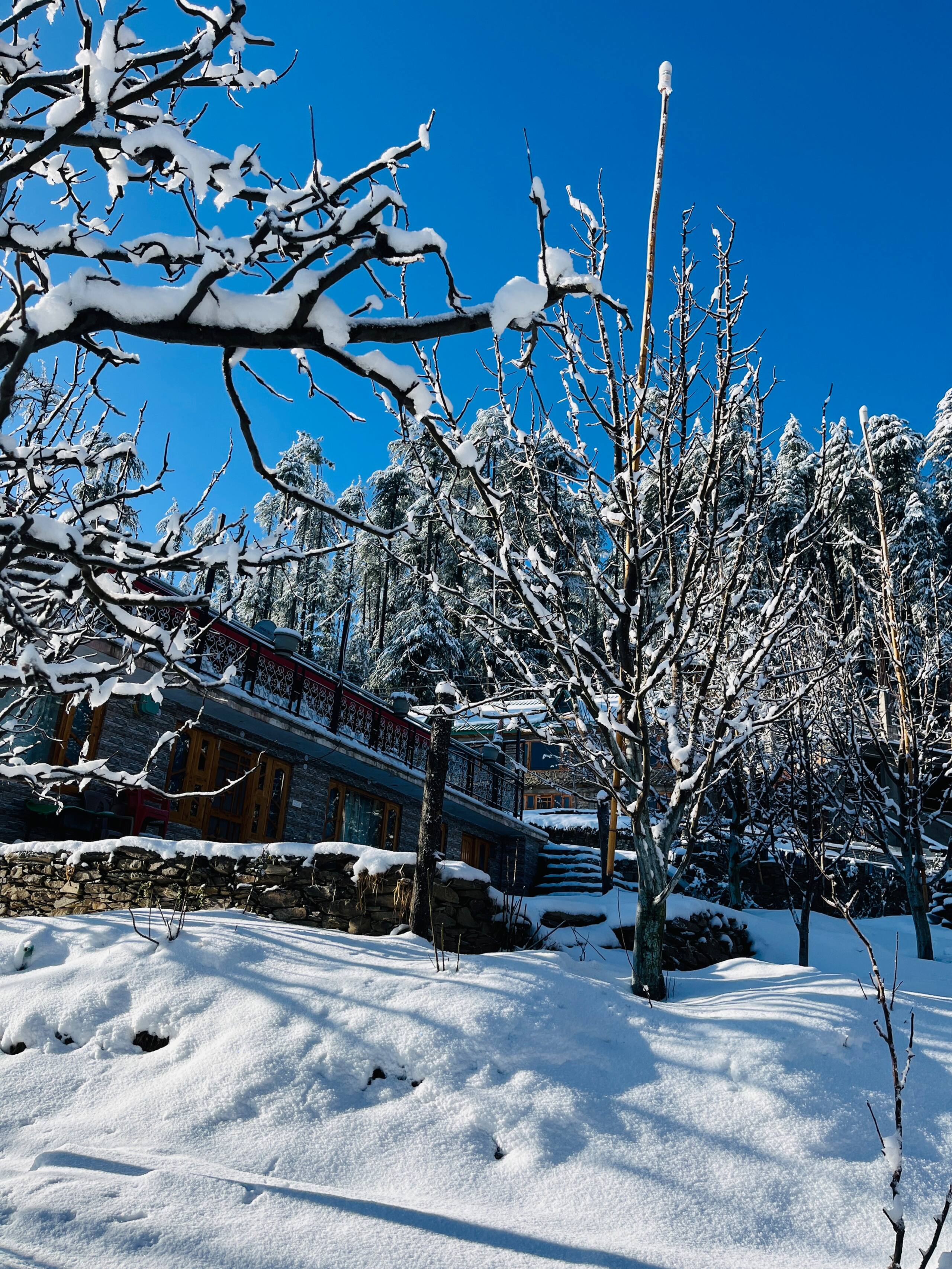 Apple Farm | 2 Traditional Wooden Room | Serene 6