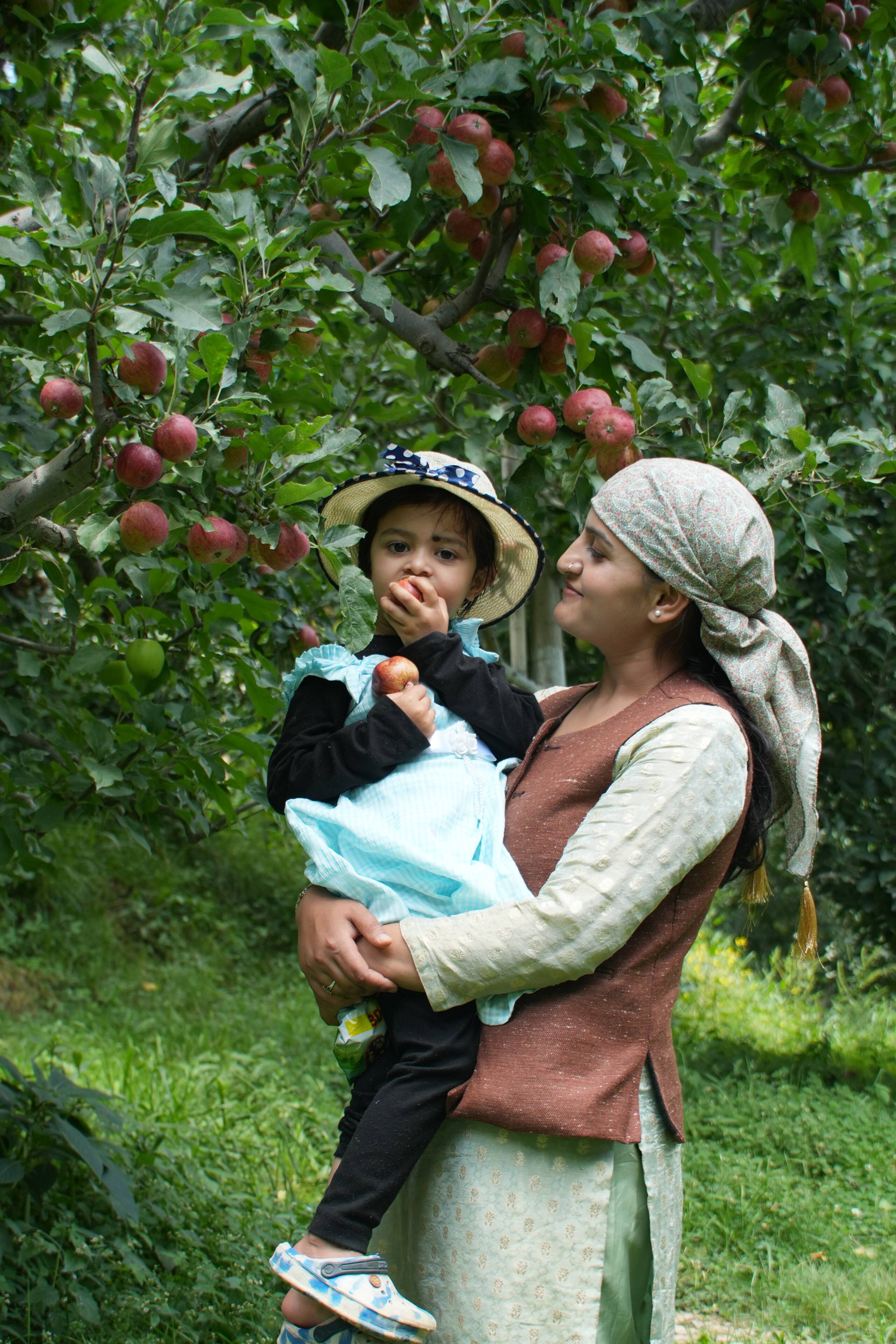 Apple Farm | 2 Traditional Wooden Room | Serene 27