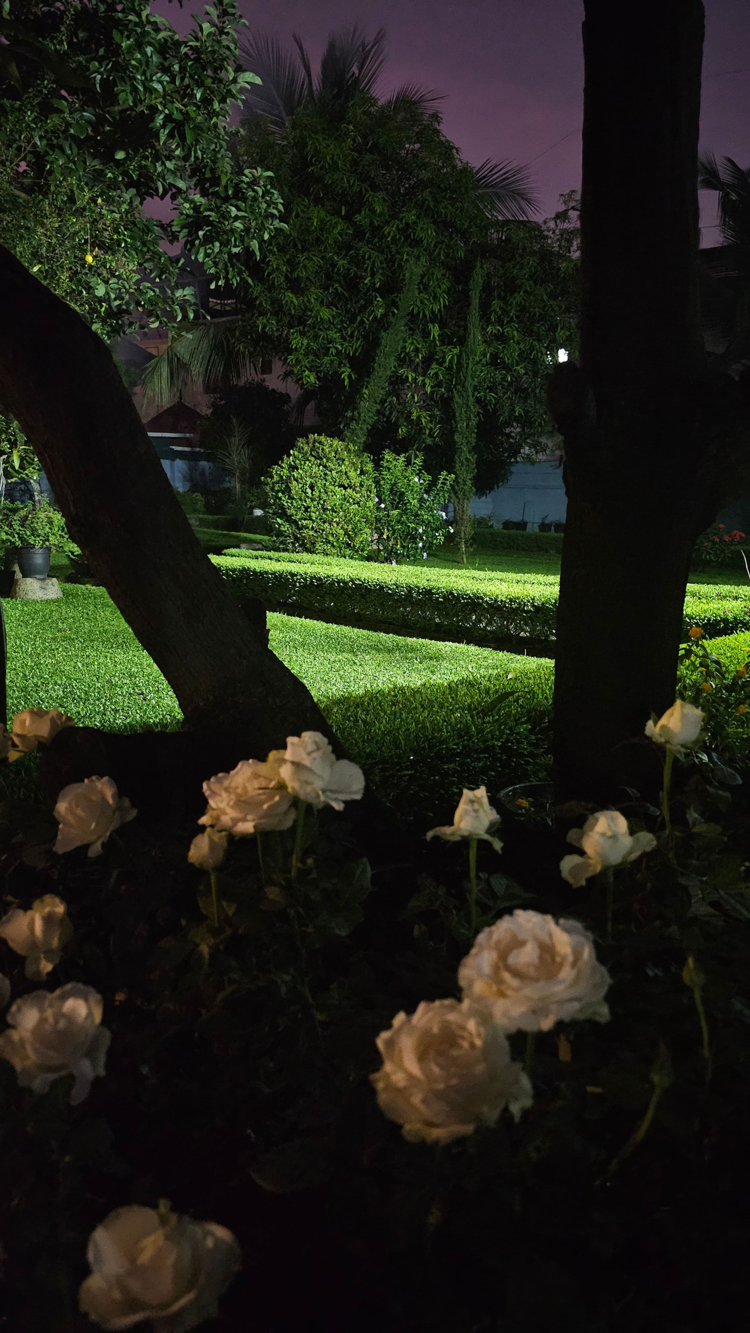 VILLA 709: Luxurious villa near Metro station. 16
