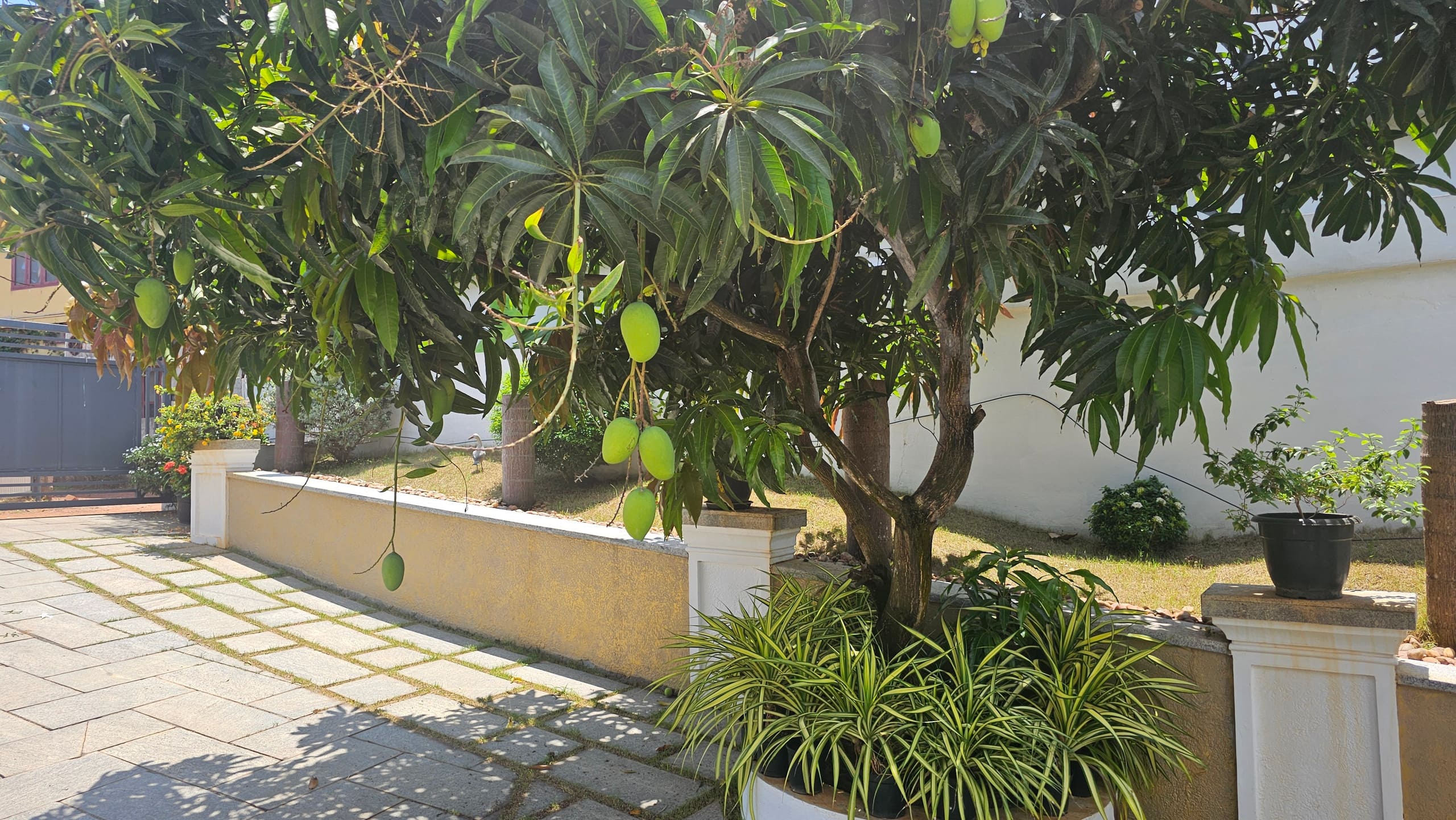 VILLA 709: Luxurious villa near Metro station. 21