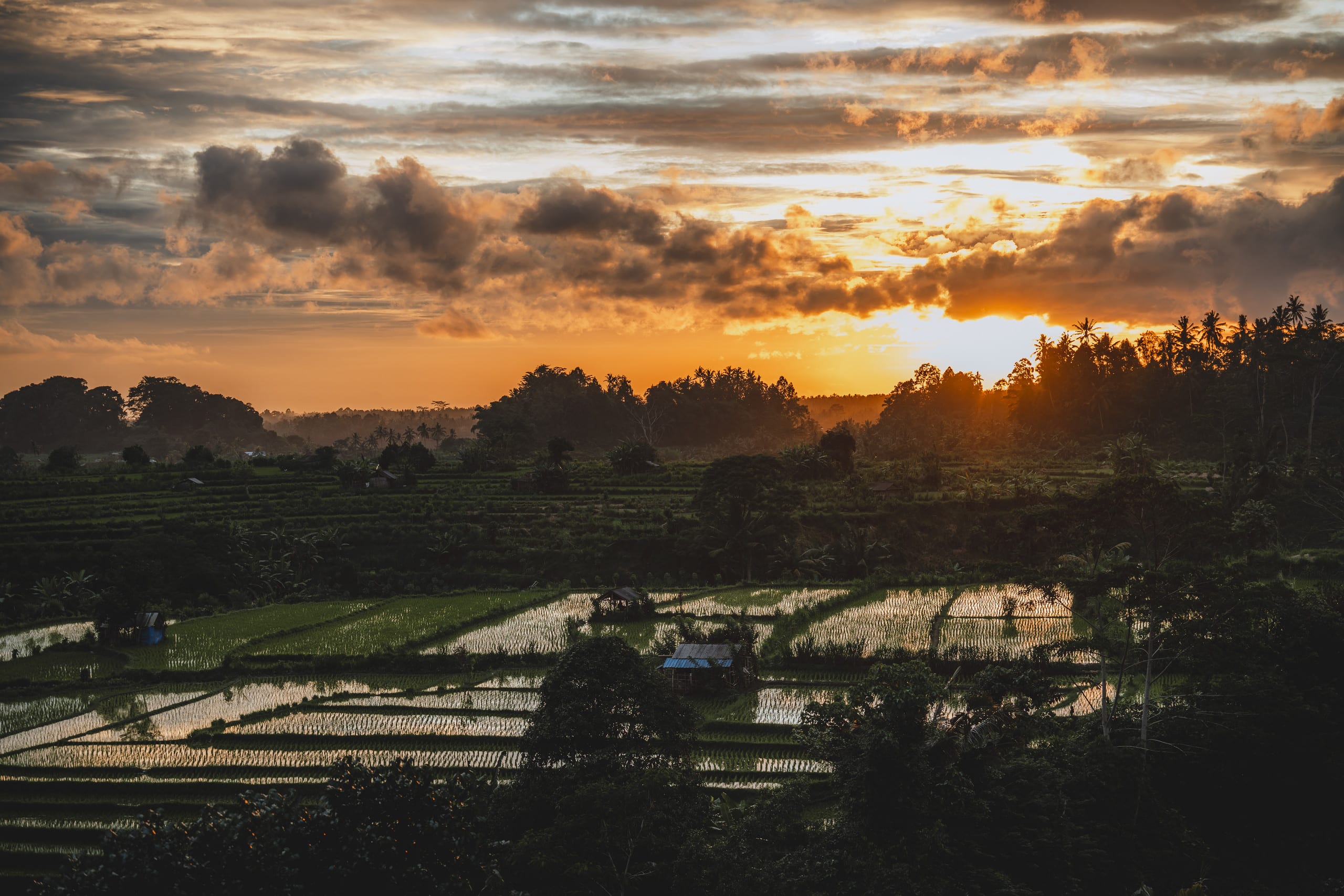 Camaya Bali - Metangi Bamboo House — photo 4