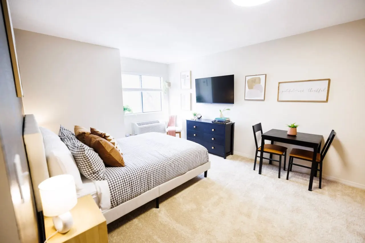 Modern Studio & Kitchenette in Greenwood Village — photo 4
