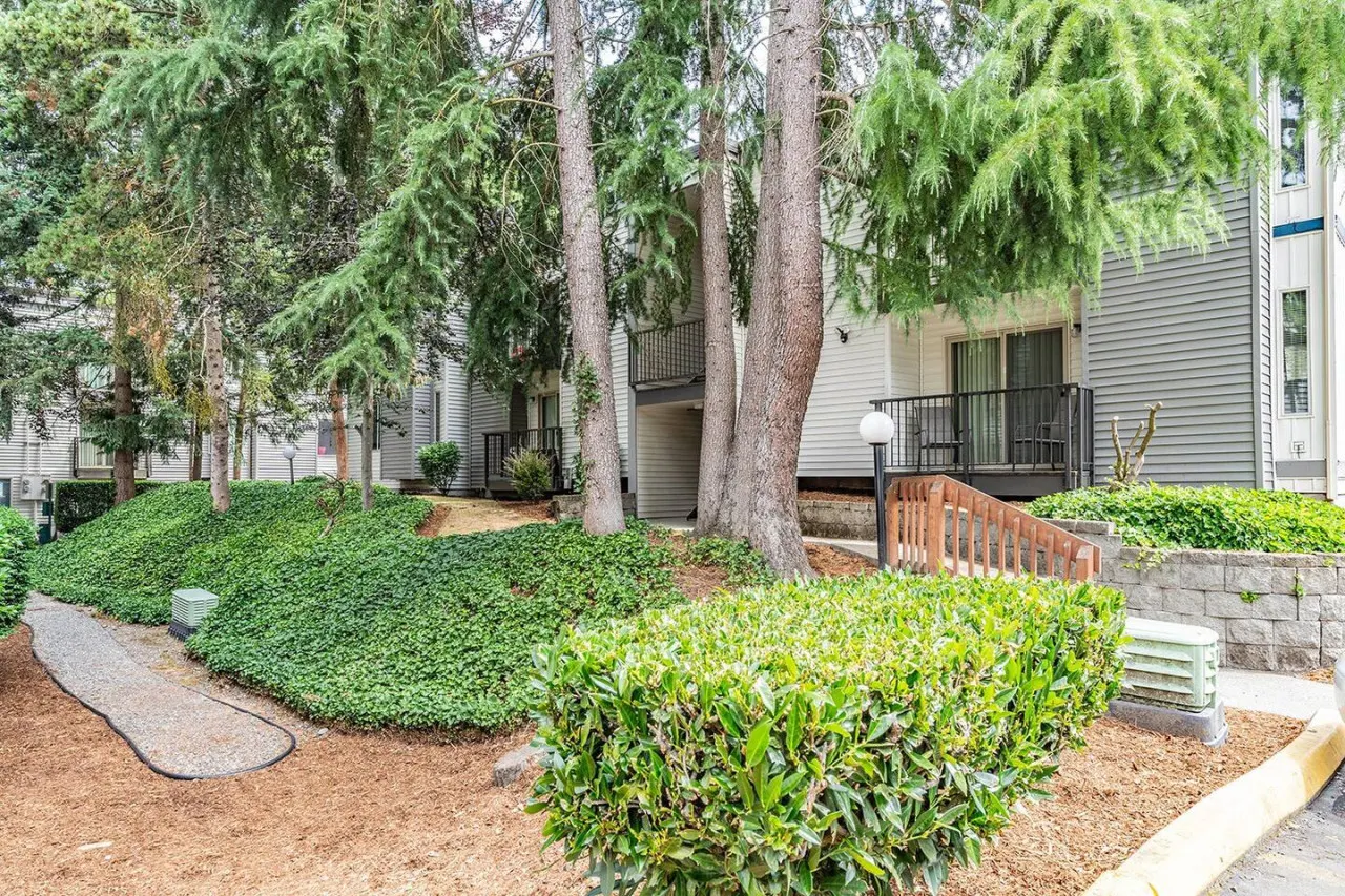 Centrally located 1 bedroom 14