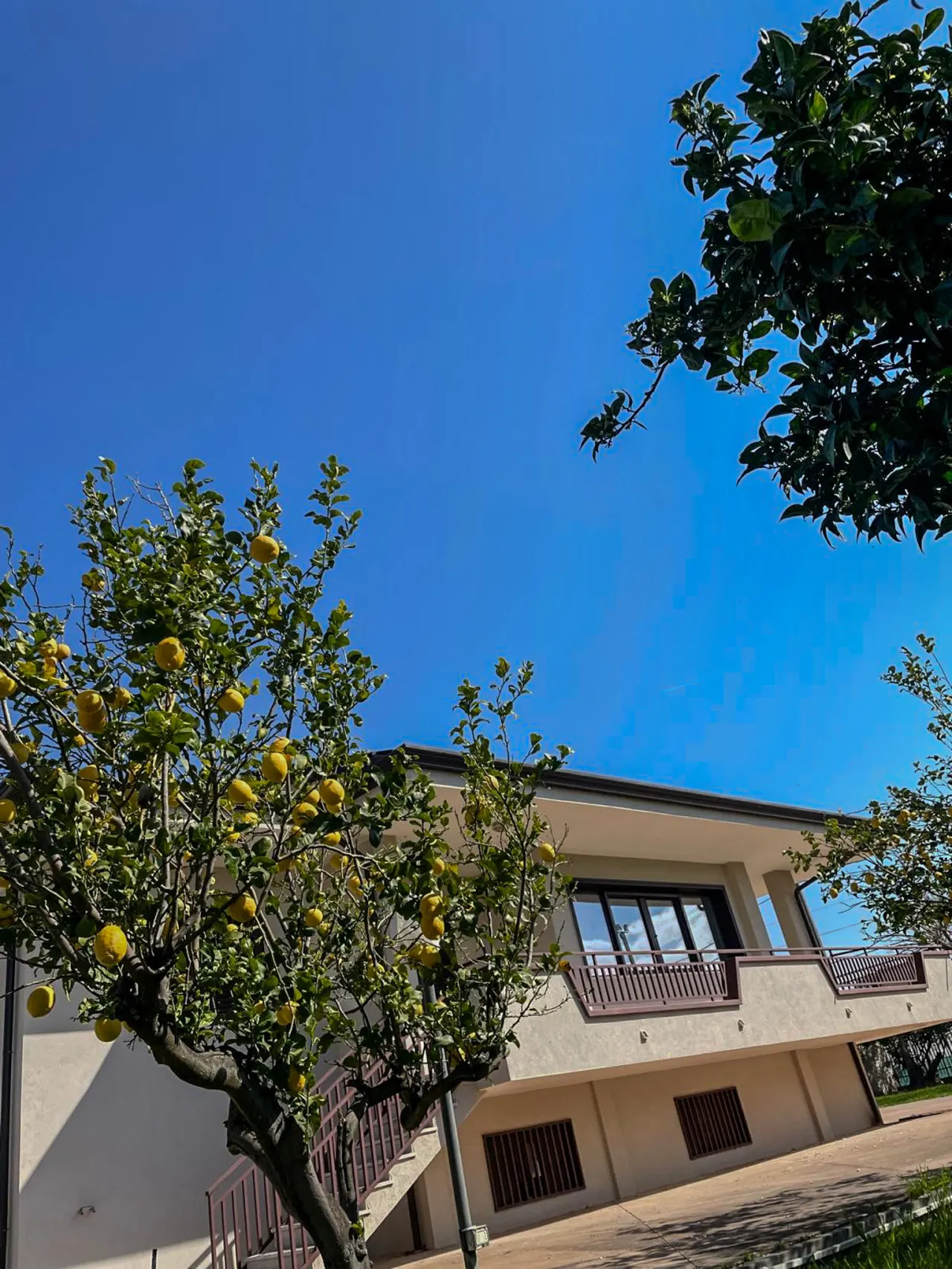 Villa il Profumo degli Aranci 17