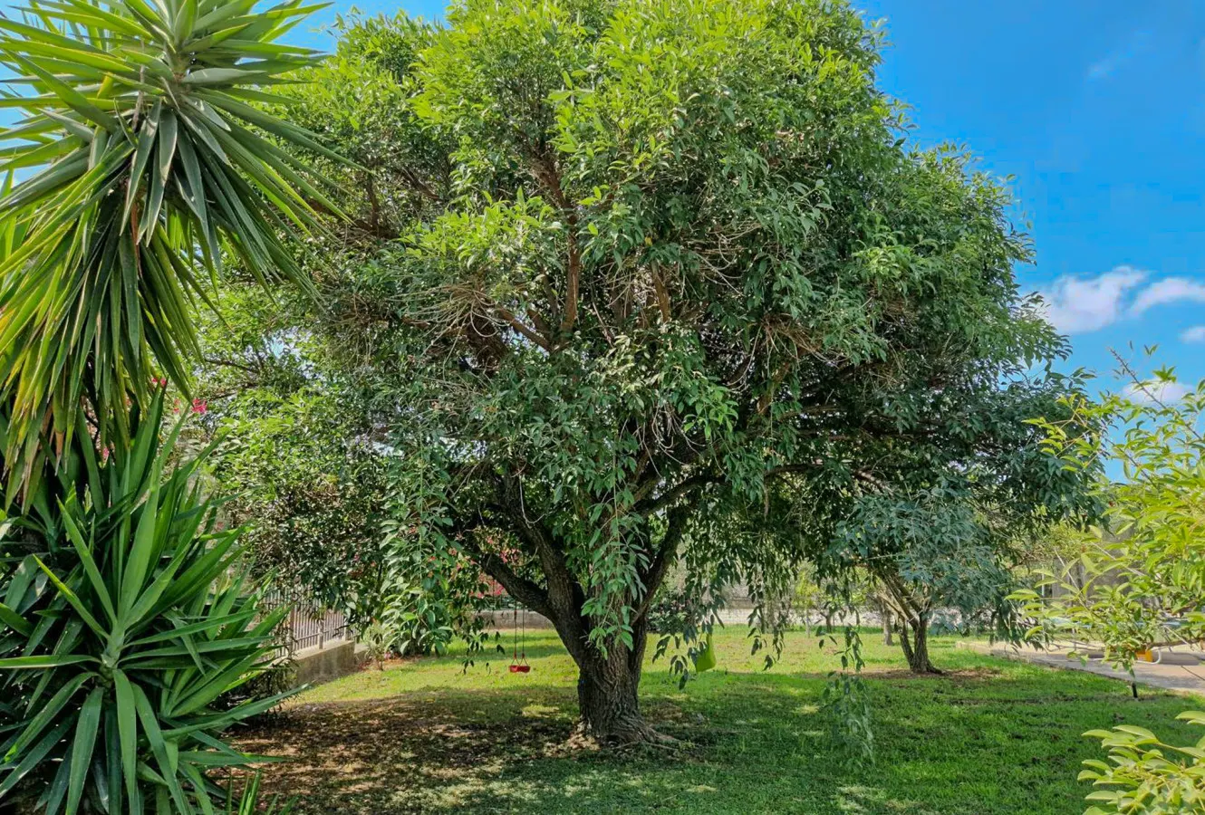 Villa il Profumo degli Aranci 19