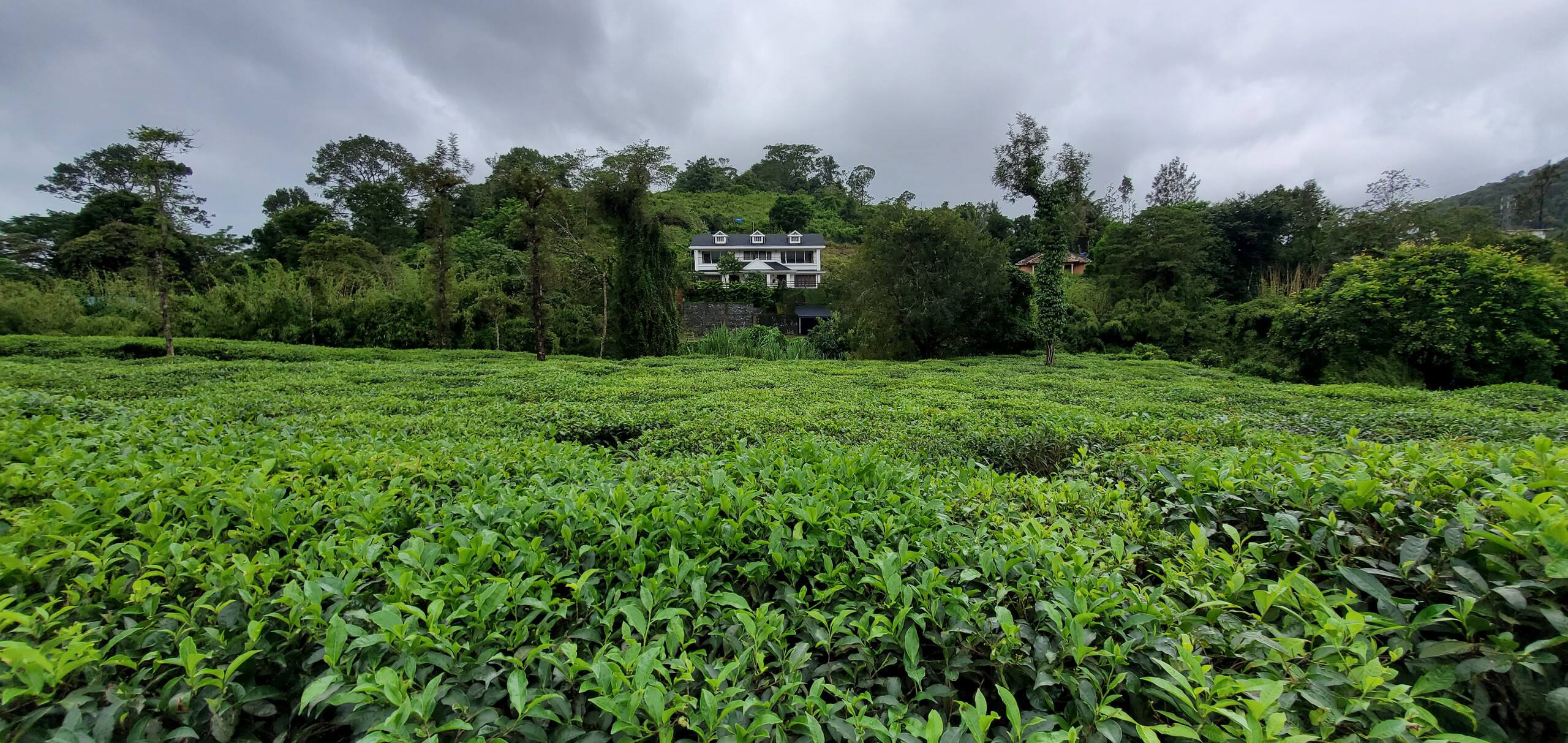 White Fort Holiday Home. 11
