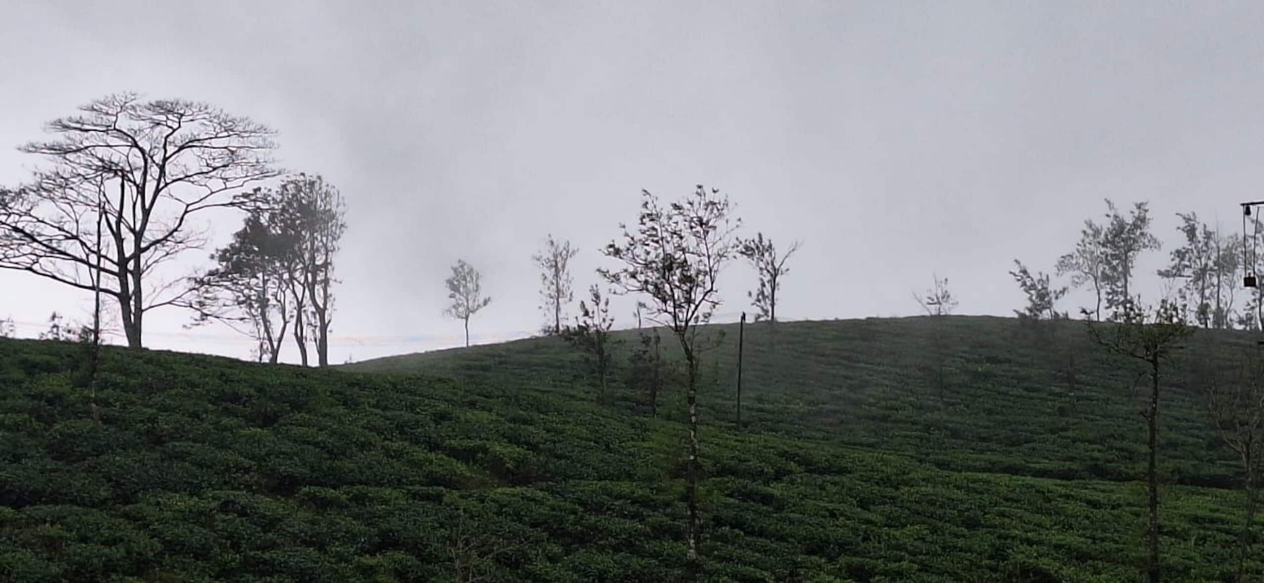 Serene Slopes 32
