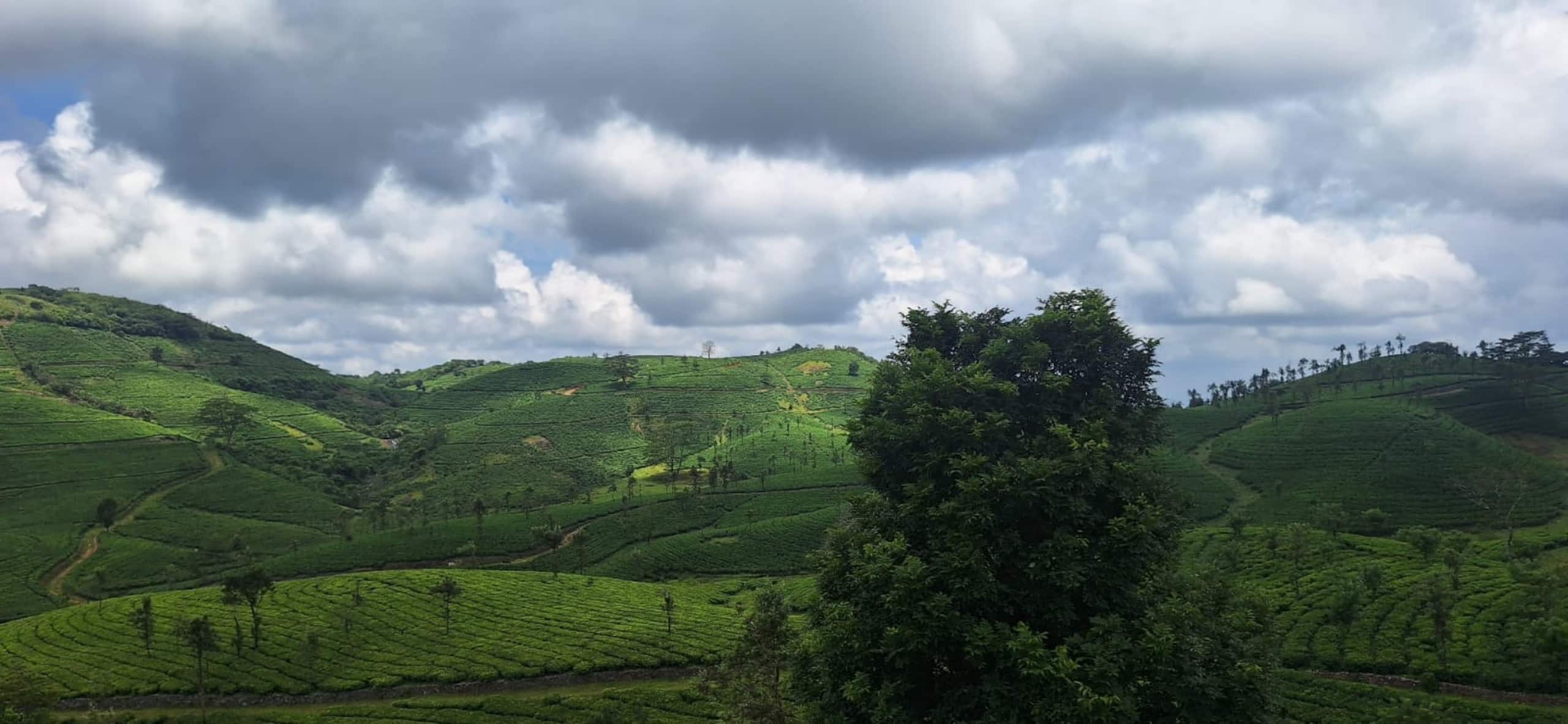 Serene Slopes 33