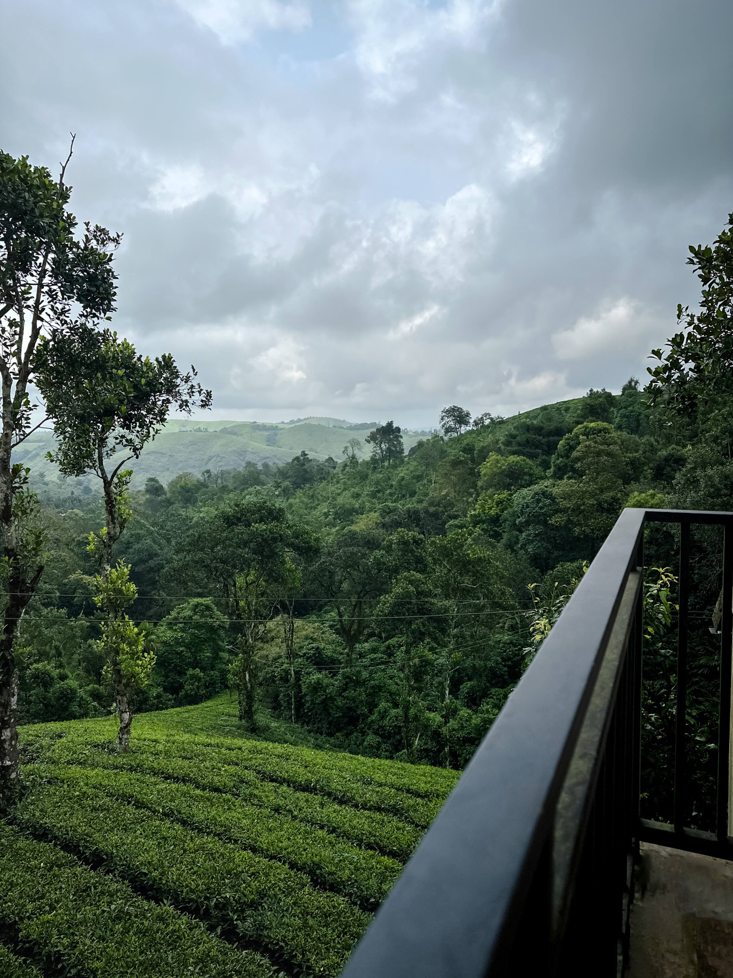 Serene Slopes 26