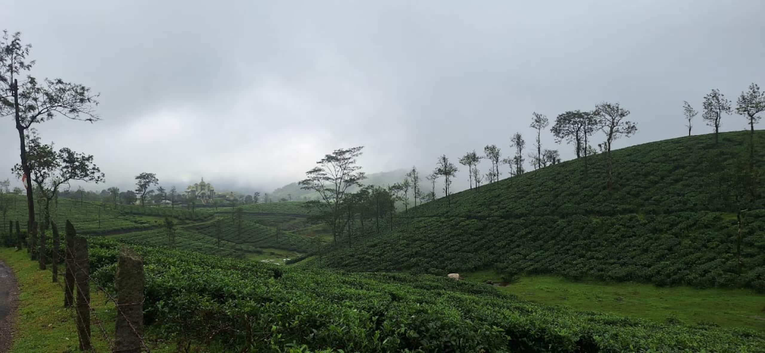 Serene Slopes 34