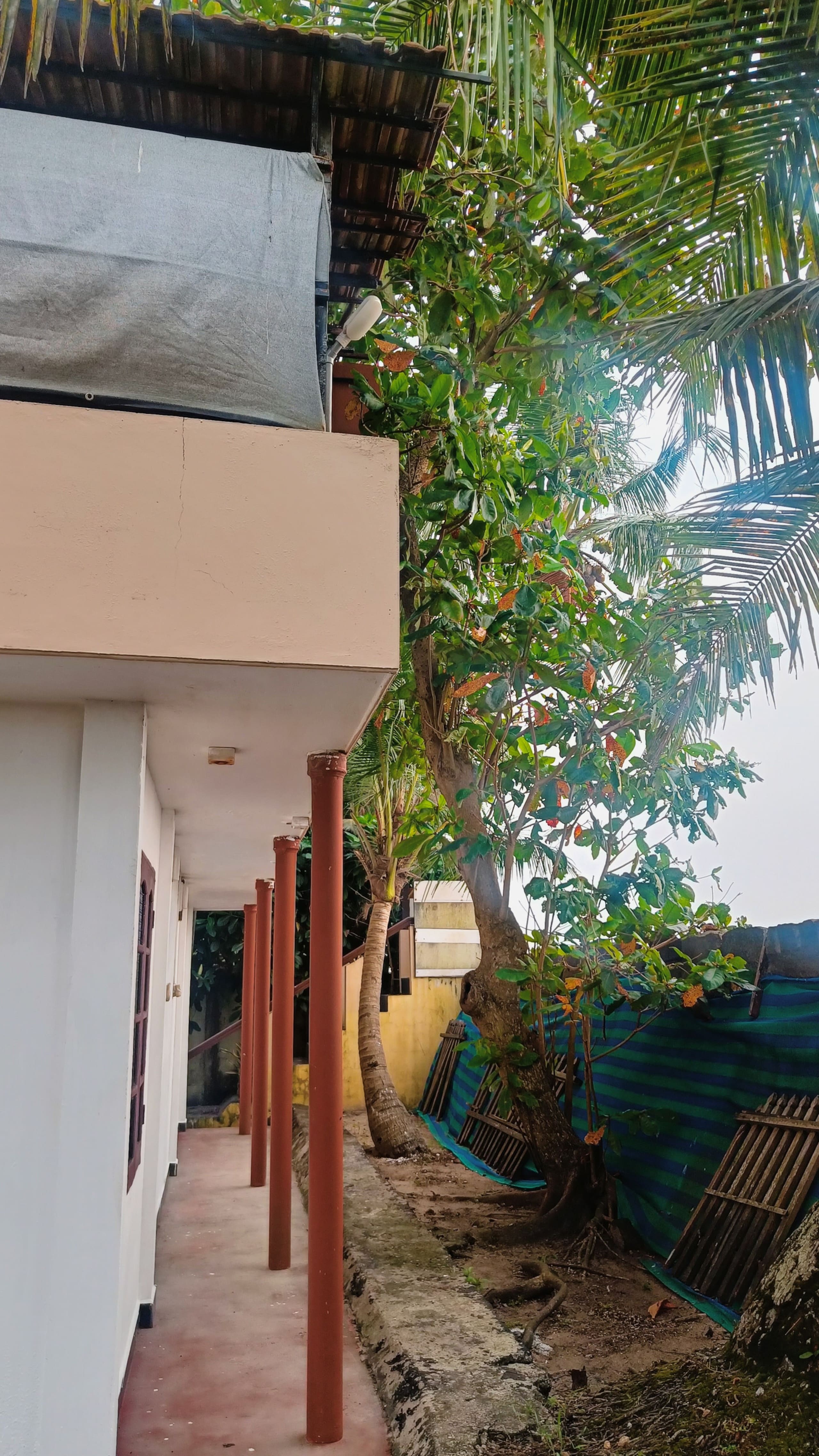 Beaufort House (Entire Sea facing Villa) 23