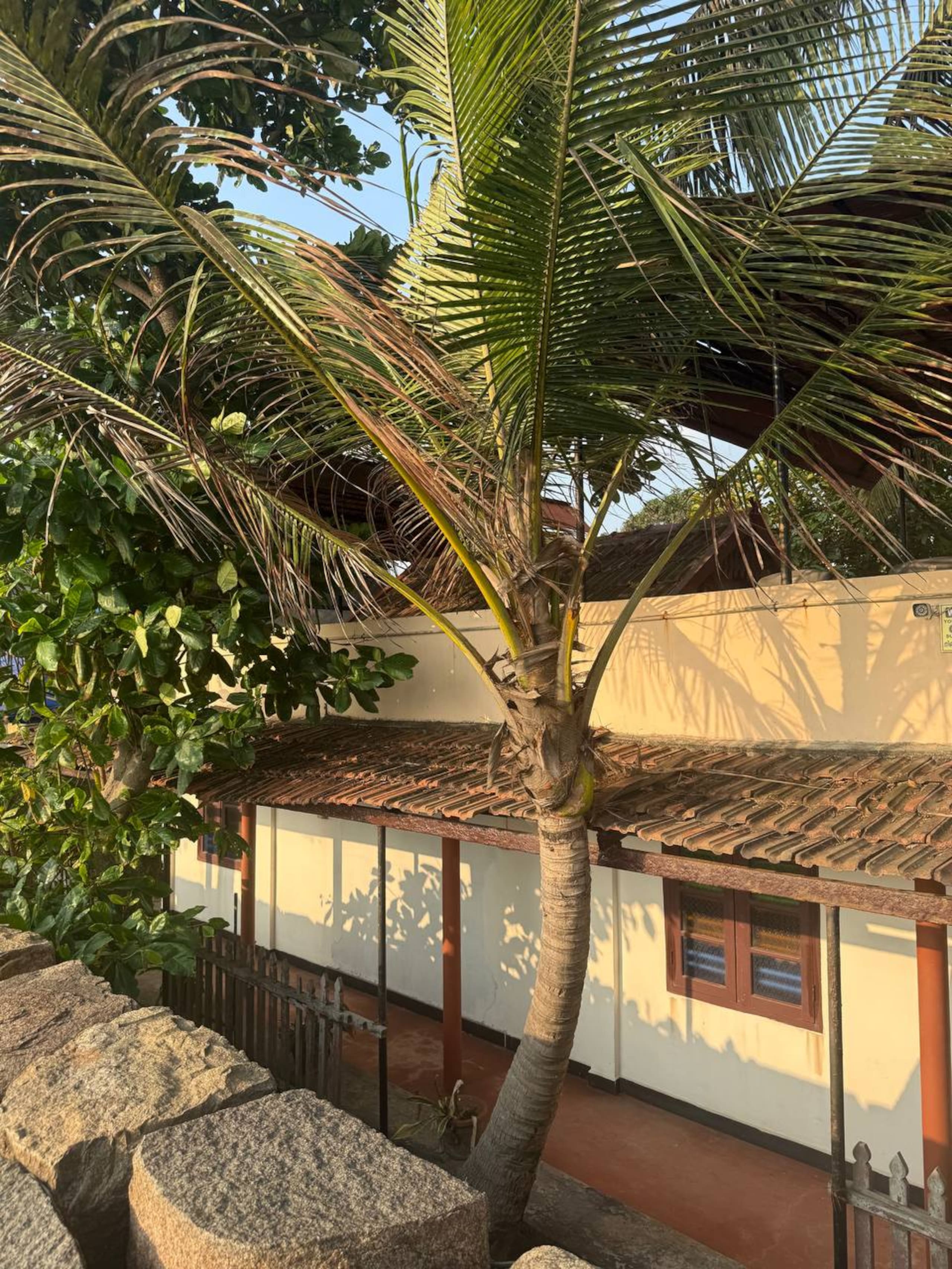 Beaufort House (Entire Sea facing Villa) 31