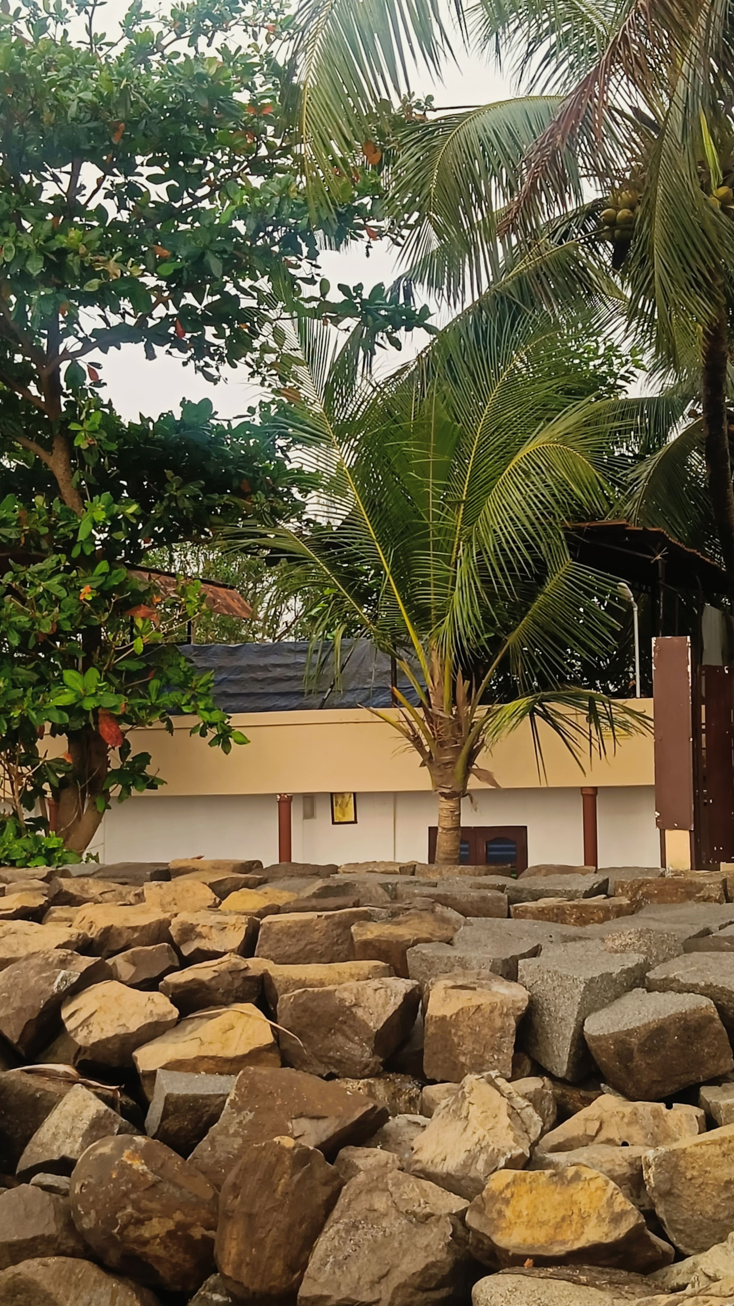 Beaufort House (Entire Sea facing Villa) 36