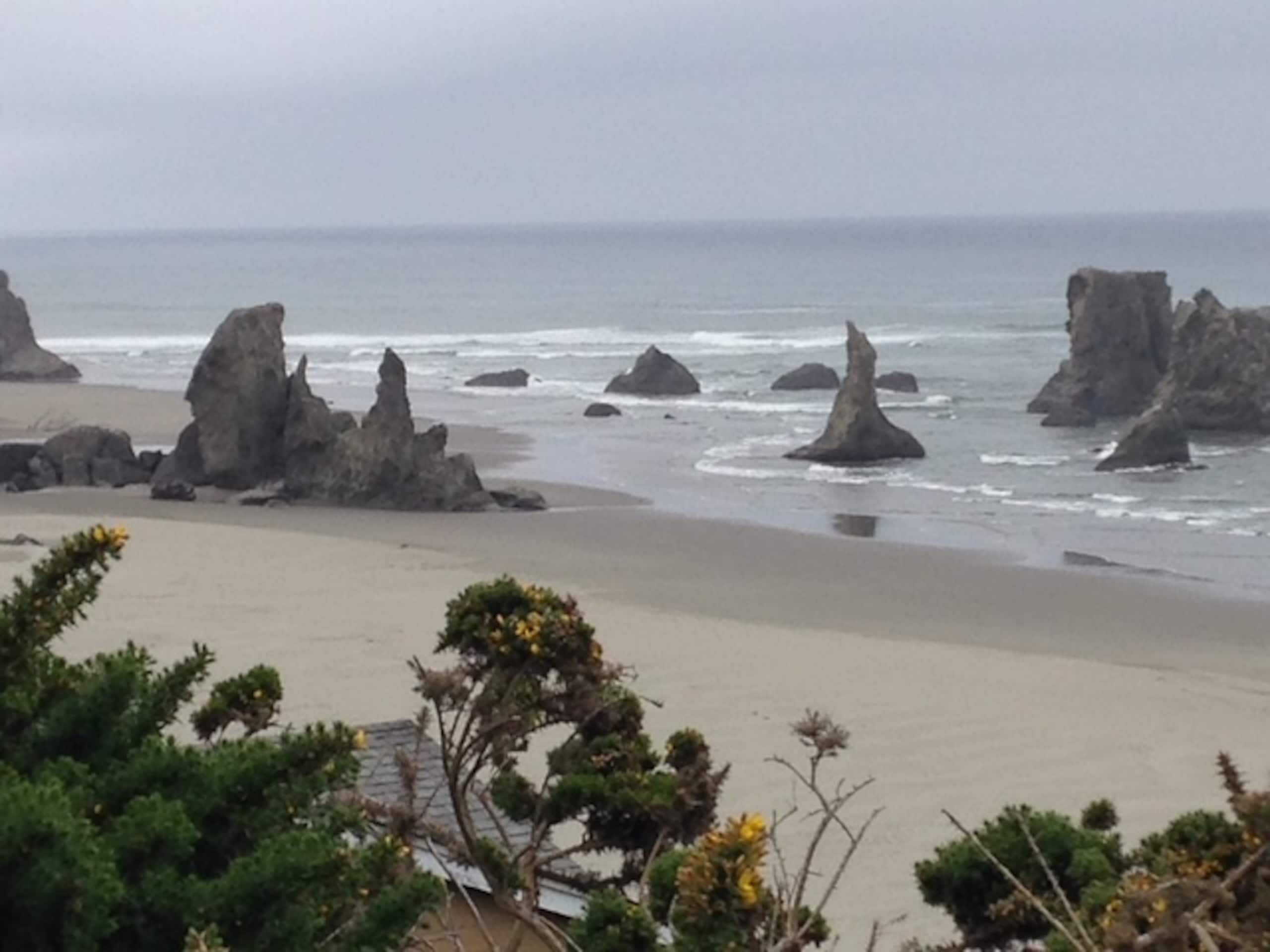 Grandma's Bandon Beach House - on the jetty! 31