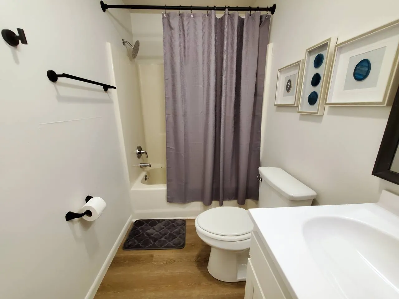 Traveling Professionals Home at Greene Ridge 17
