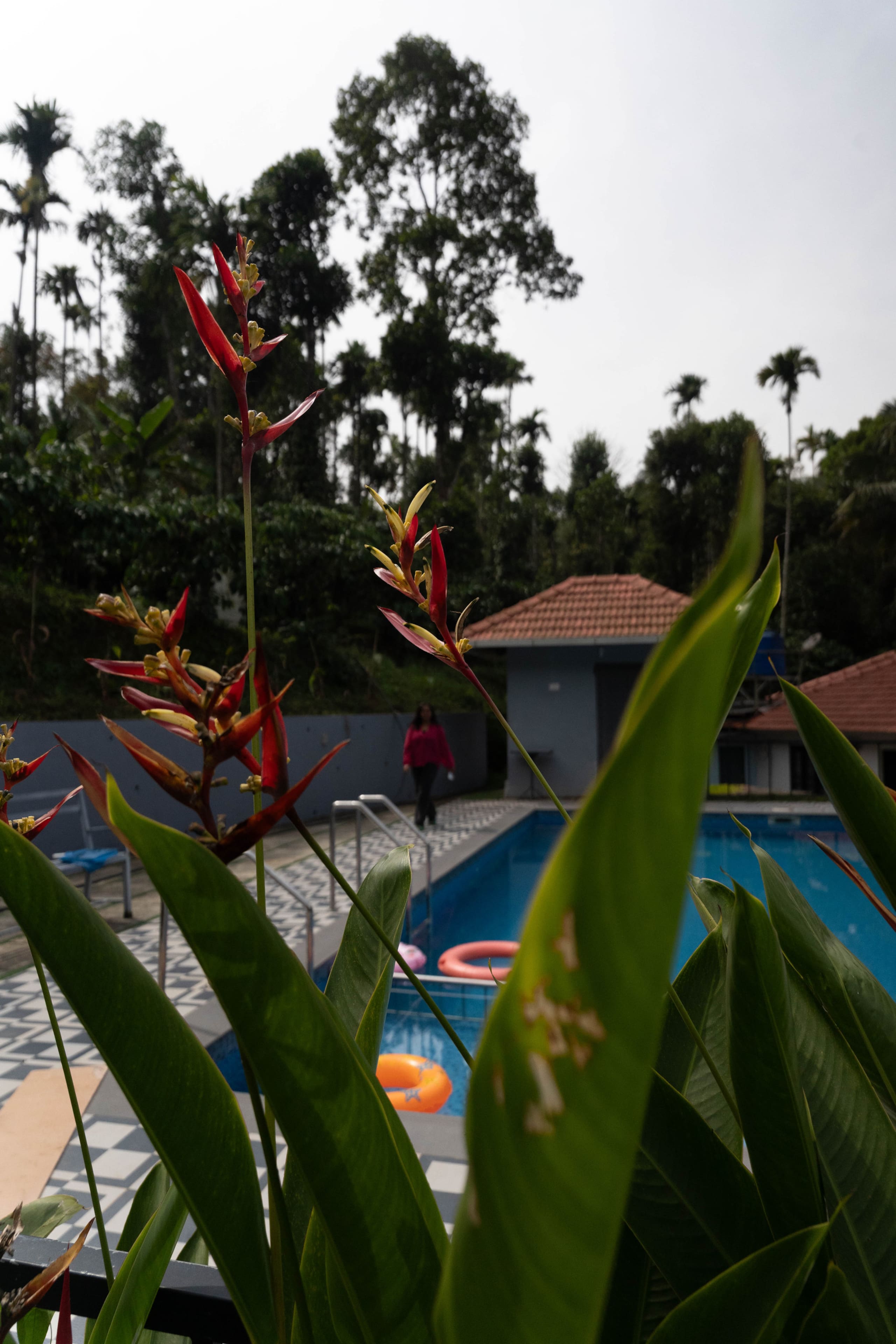 Hidden gem-Airfresh Villas-Lakeview stay-Banasura 32