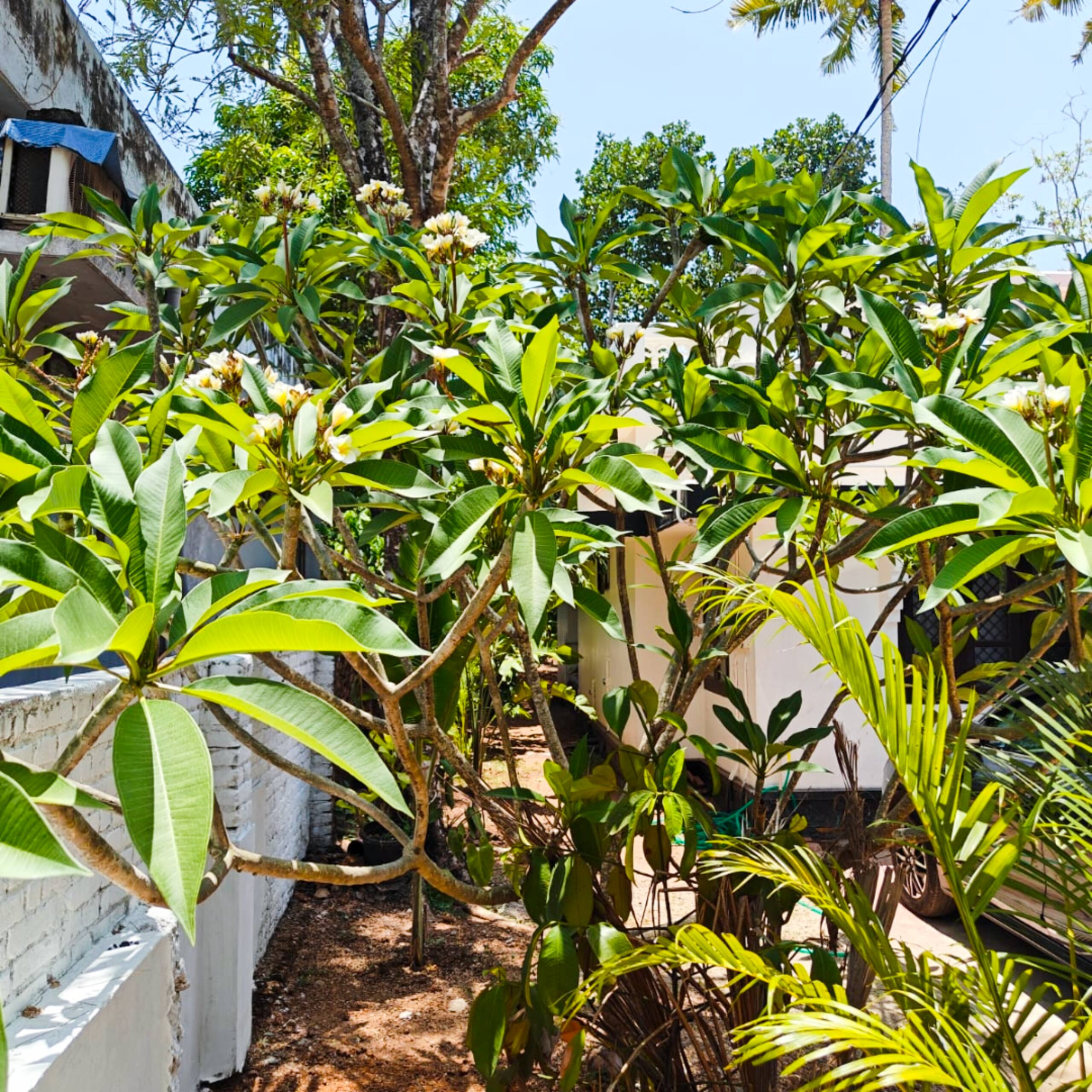 Sindooram Ecostay-3BR Villa near 3 Varkala beaches 27