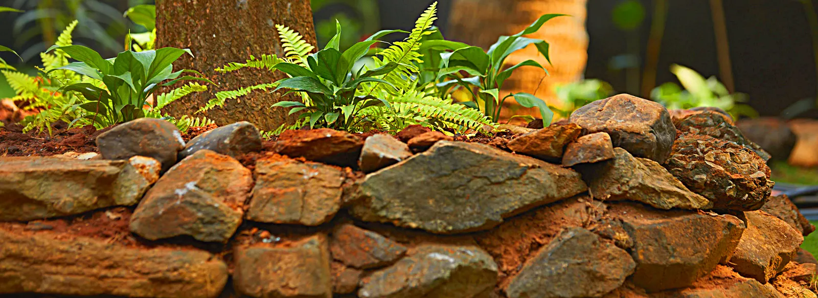 Patnem Dwarka, Garden view cottage 8