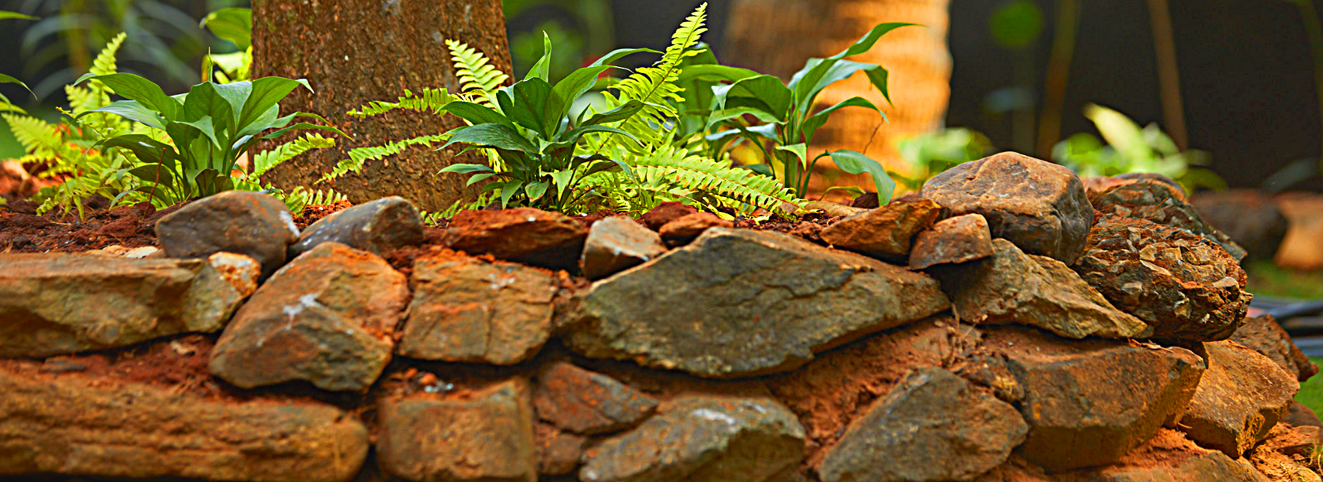 Patnem Dwarka, Garden view cottage 8