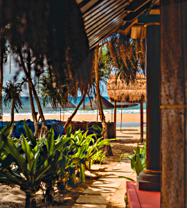 Patnem Dwarka, Garden view cottage 9