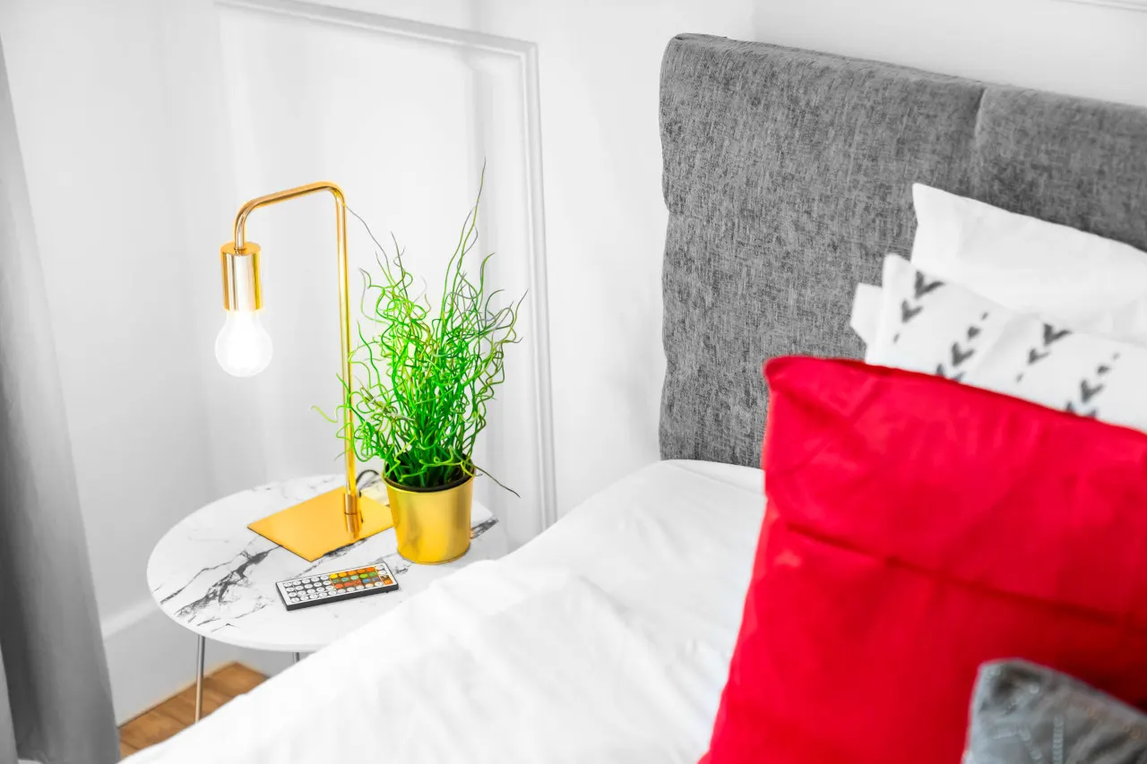 Parkside Central Apartment - Terrace - Super King Bed 19