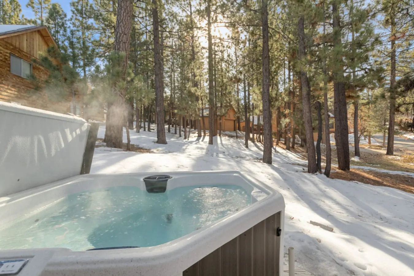 Lucky Bear Perfect for Pets & Fam, Hot Tub 5