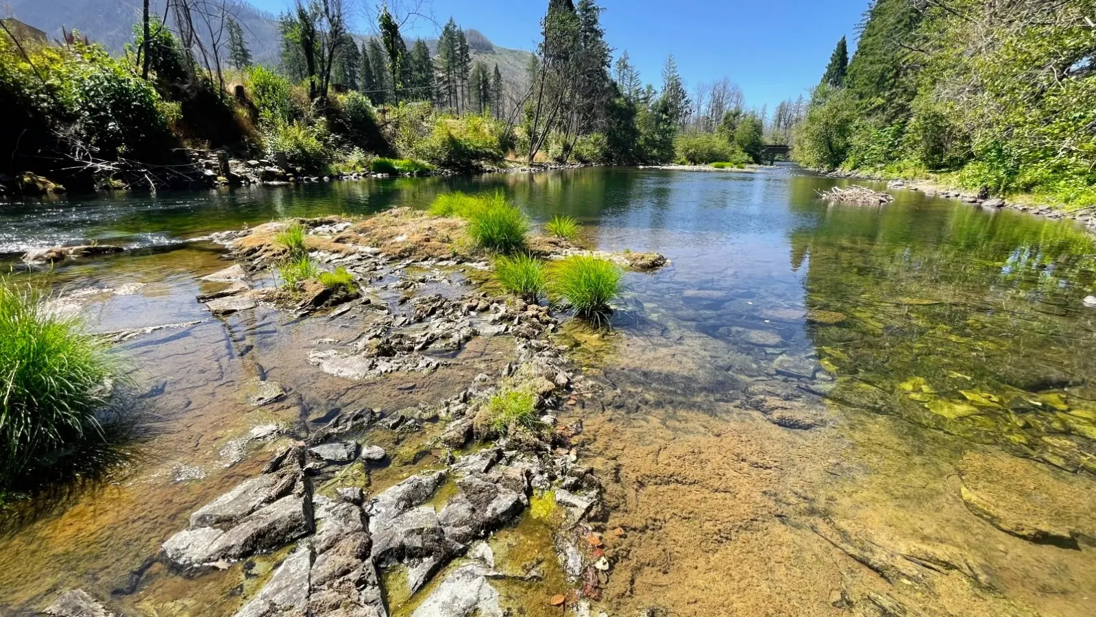 Pet-Friendly Budget King Room with River Access | Shared Bath