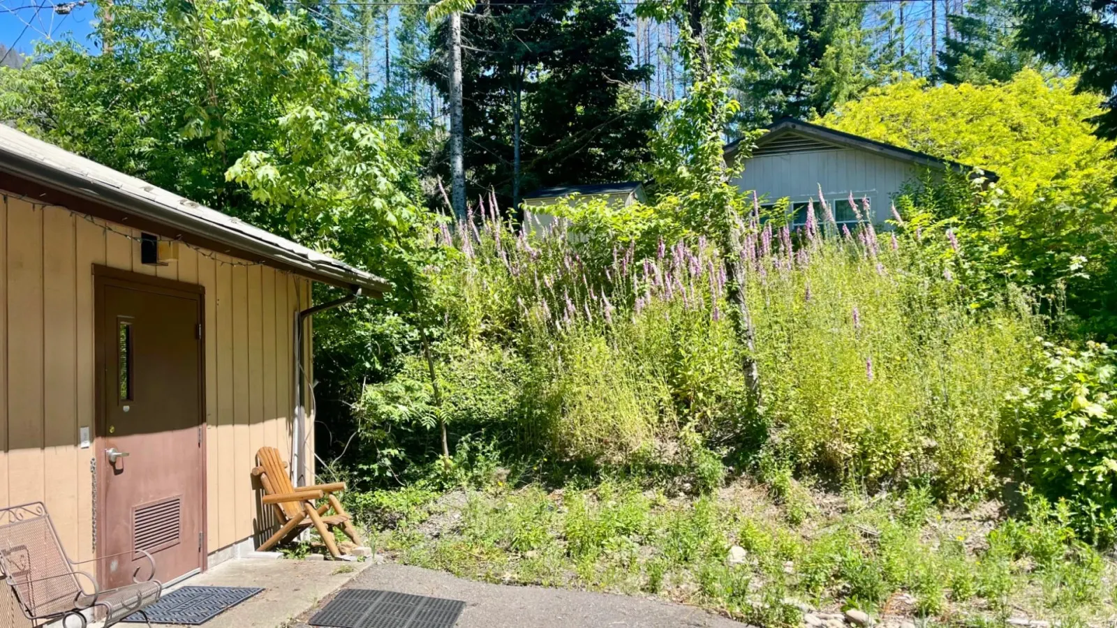 Pet-Friendly Budget King Room with River Access Shared Bath 6