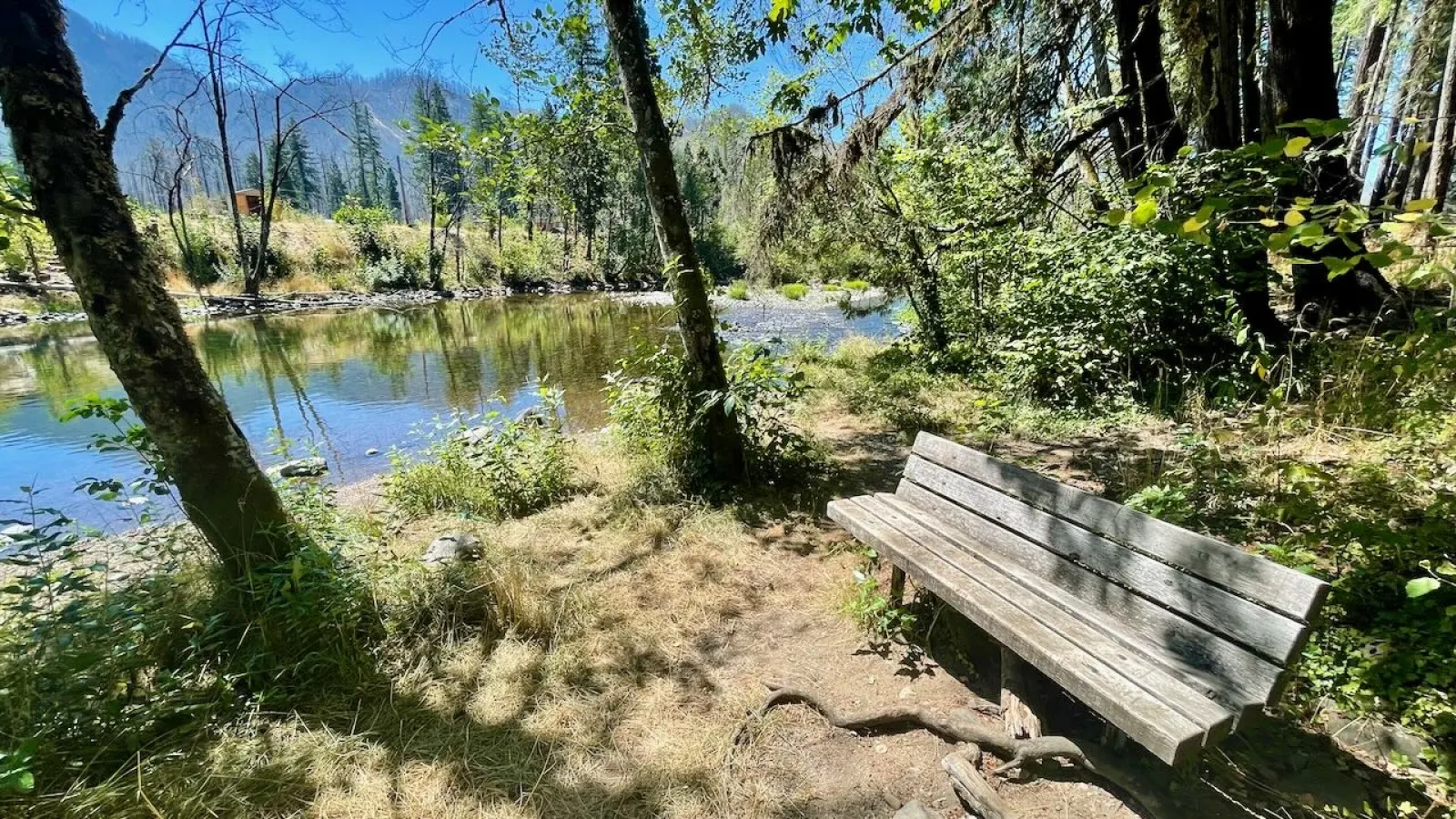 Pet-Friendly Budget King Room with River Access Shared Bath 8
