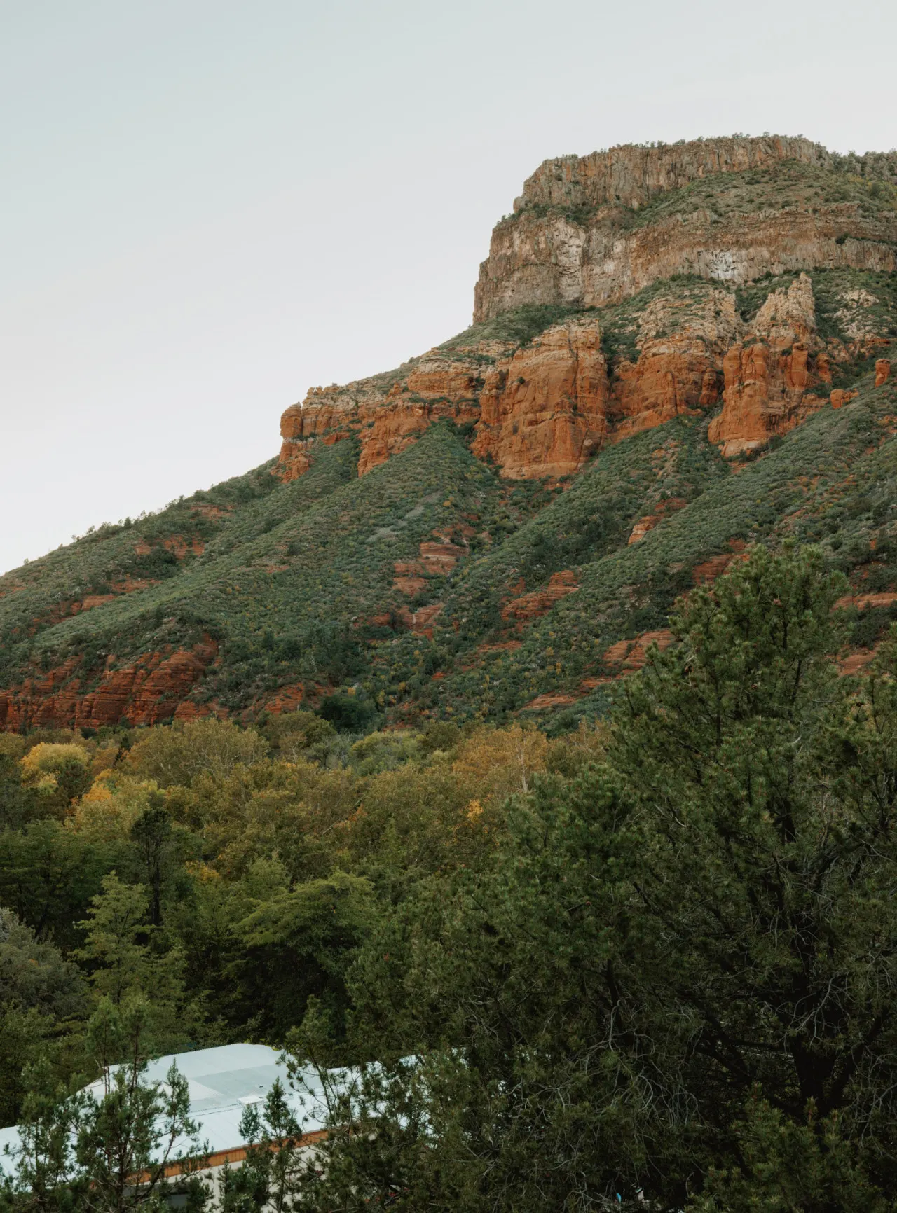 Bliss at TinyCamp Resort Sedona — photo 2
