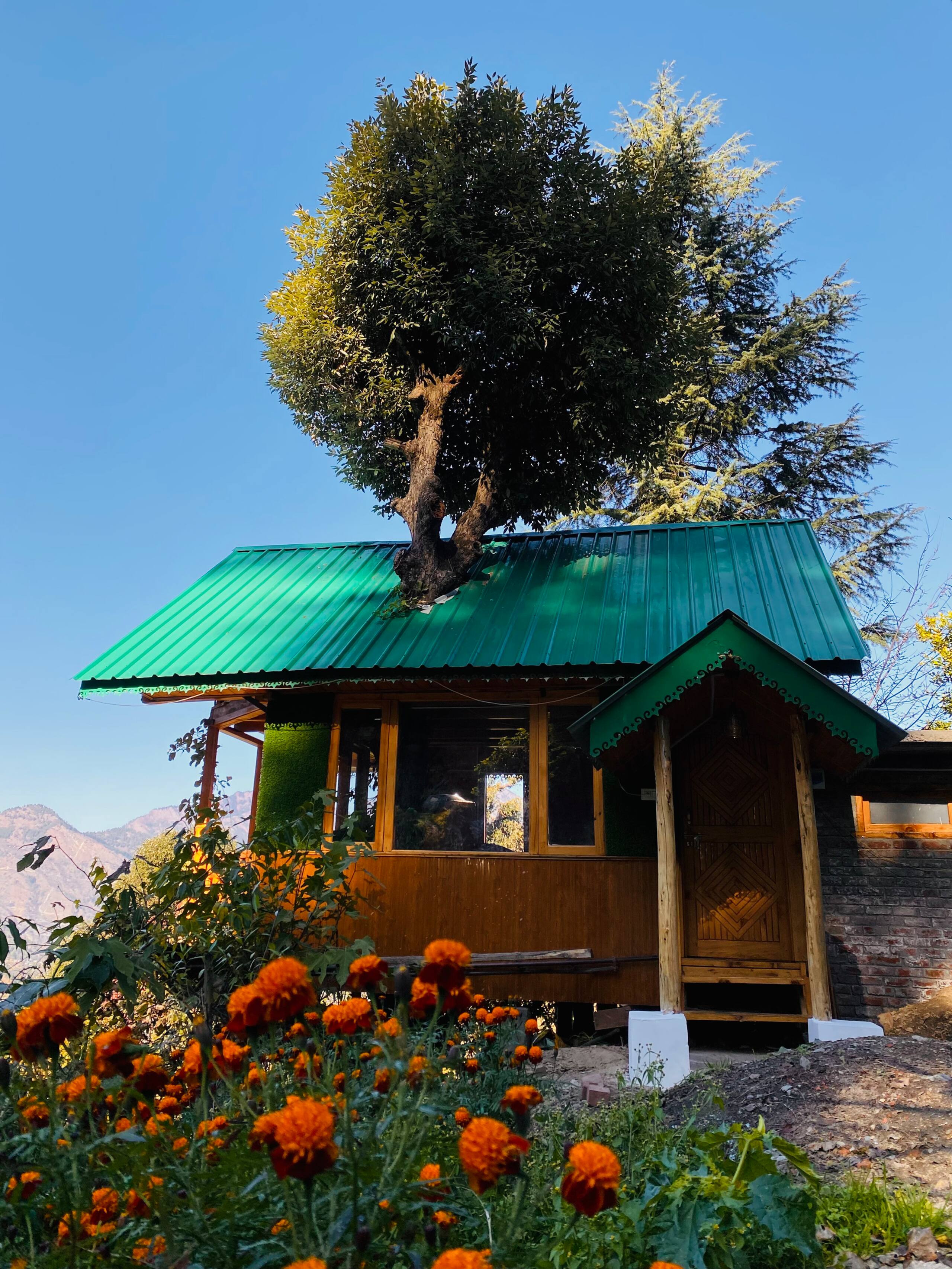 Majestic Treehouse with valley view, Jibhi 8