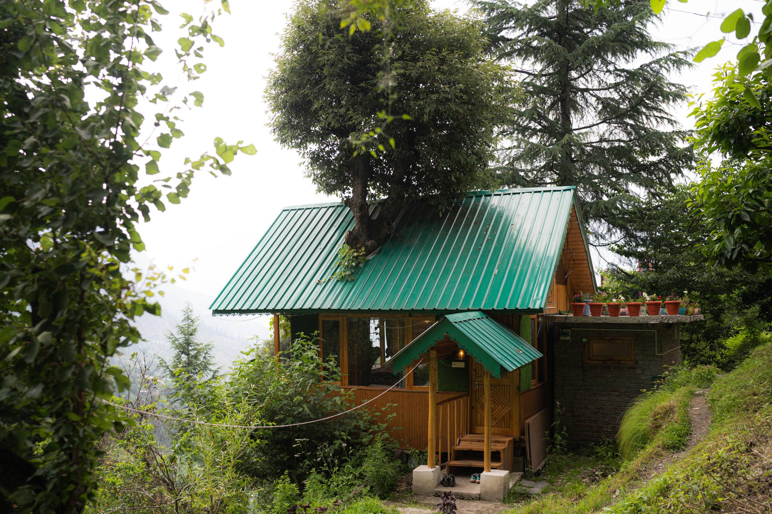 Majestic Treehouse with valley view, Jibhi 5