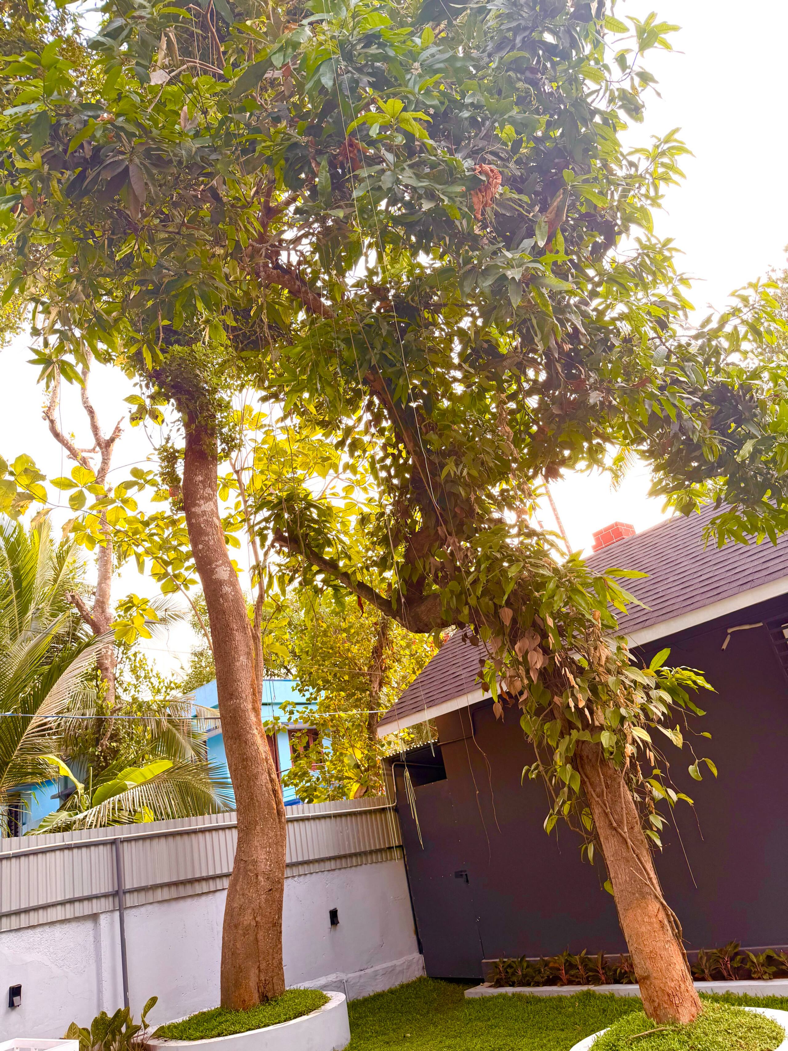 Mazha Resorts and private pool villa 1, kollam 14