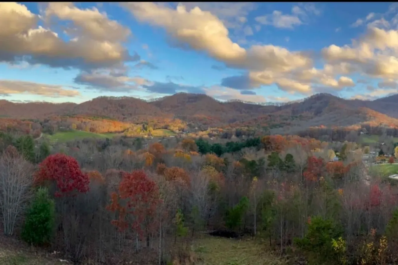 Massive Mountain Retreat 12 Mi to Asheville 10