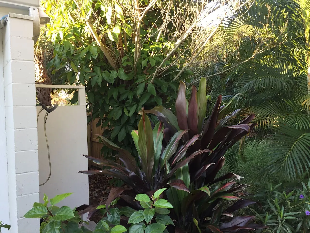 Mid-Century Modern, Heated Lap Pool and Art Studio 20