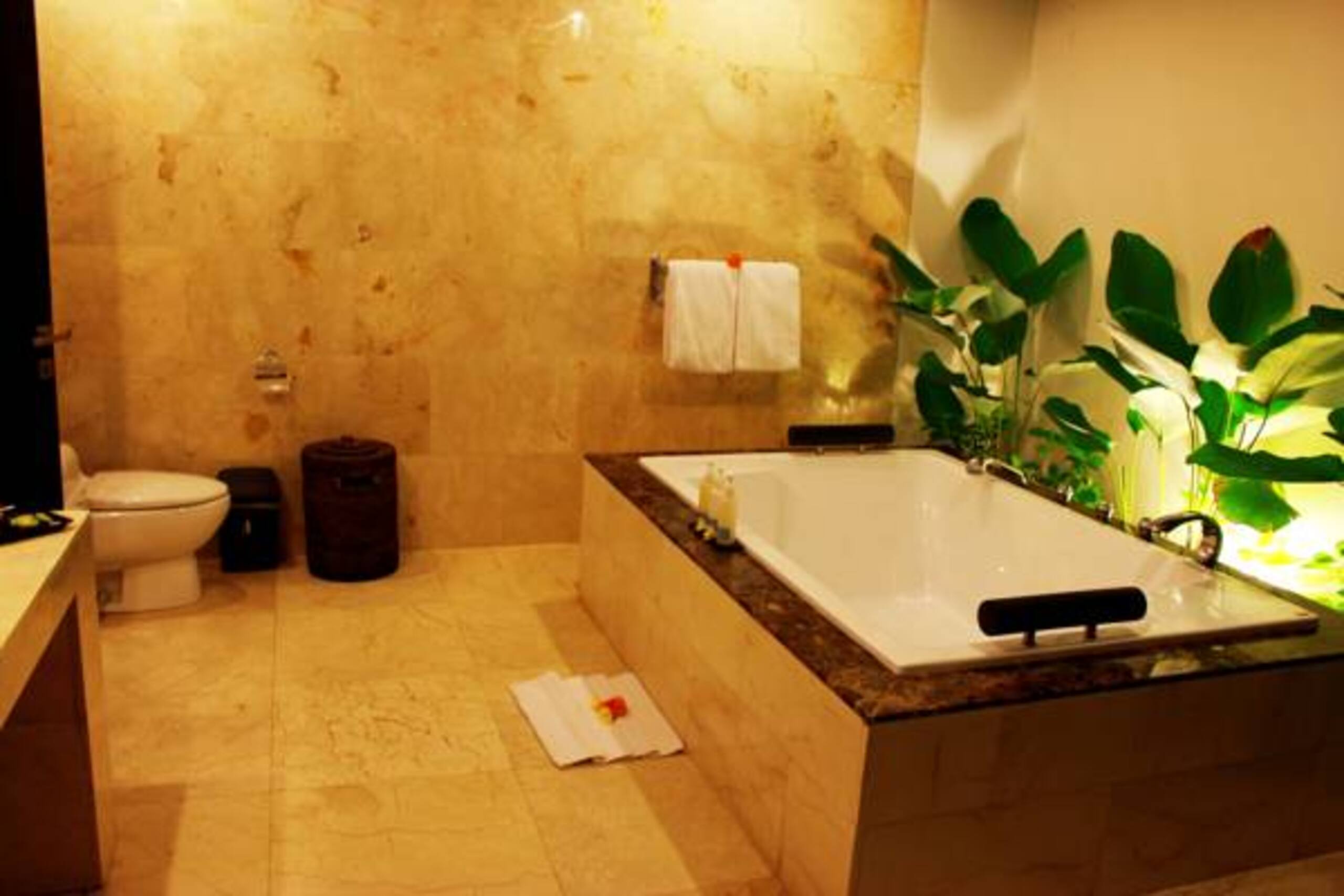 The 1 Bedroom Private Pool 12