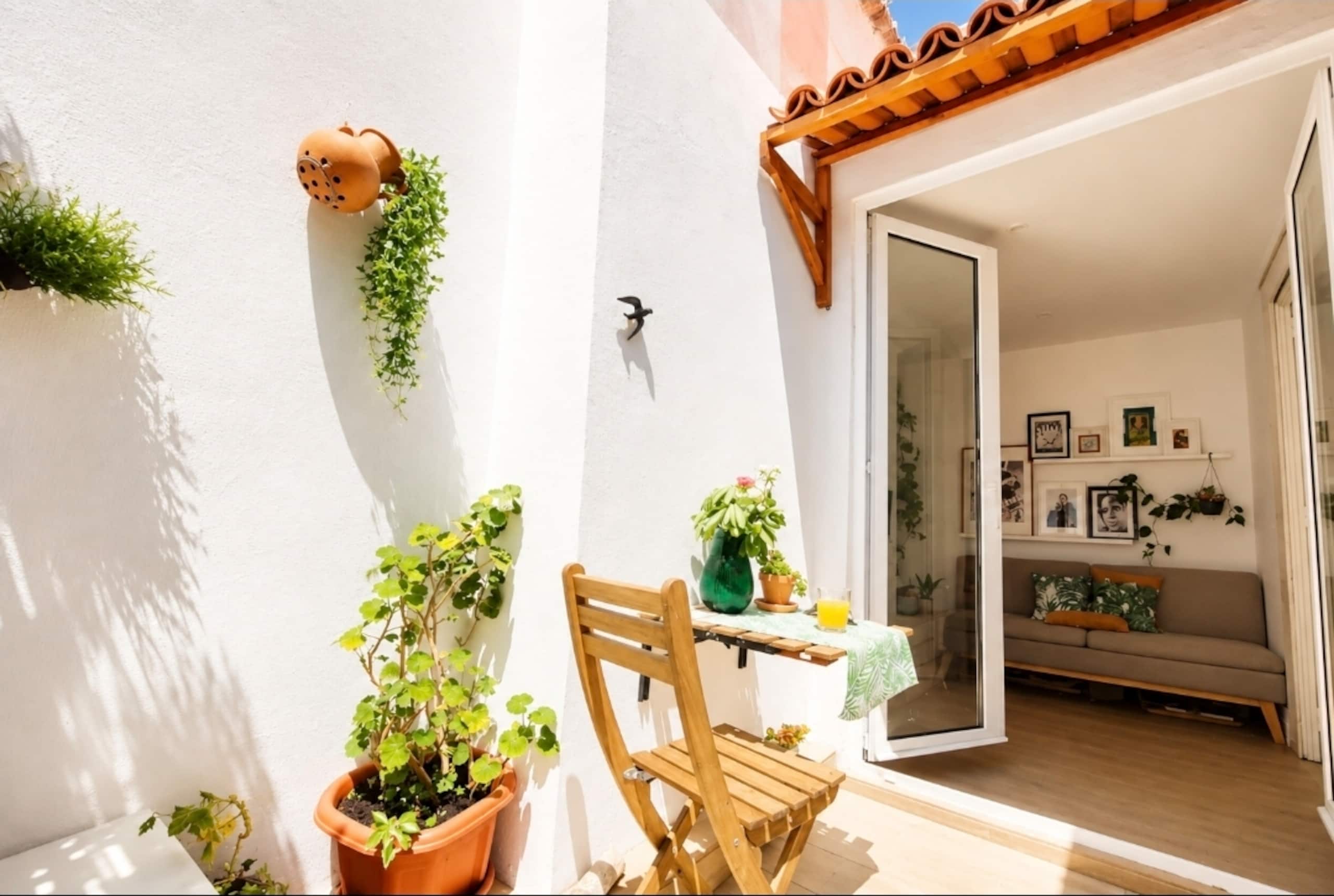 #My Oasis in Lisbon 3