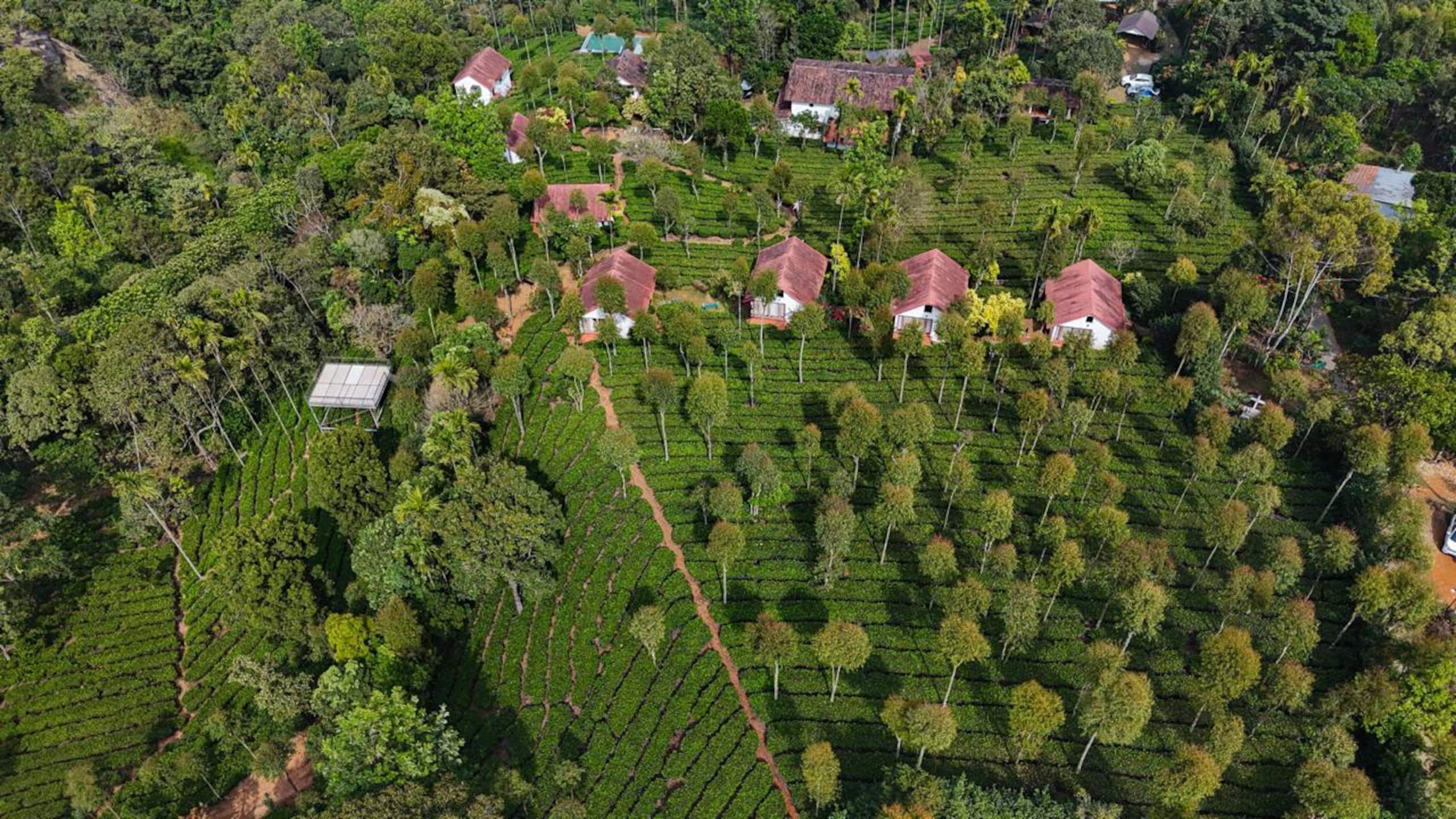 Private Hillside Stay | Tea Estate Views 6