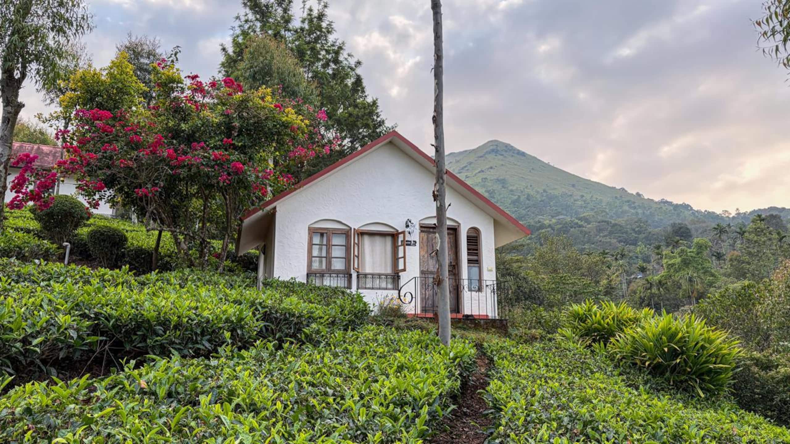 Private Hillside Stay | Tea Estate Views 14