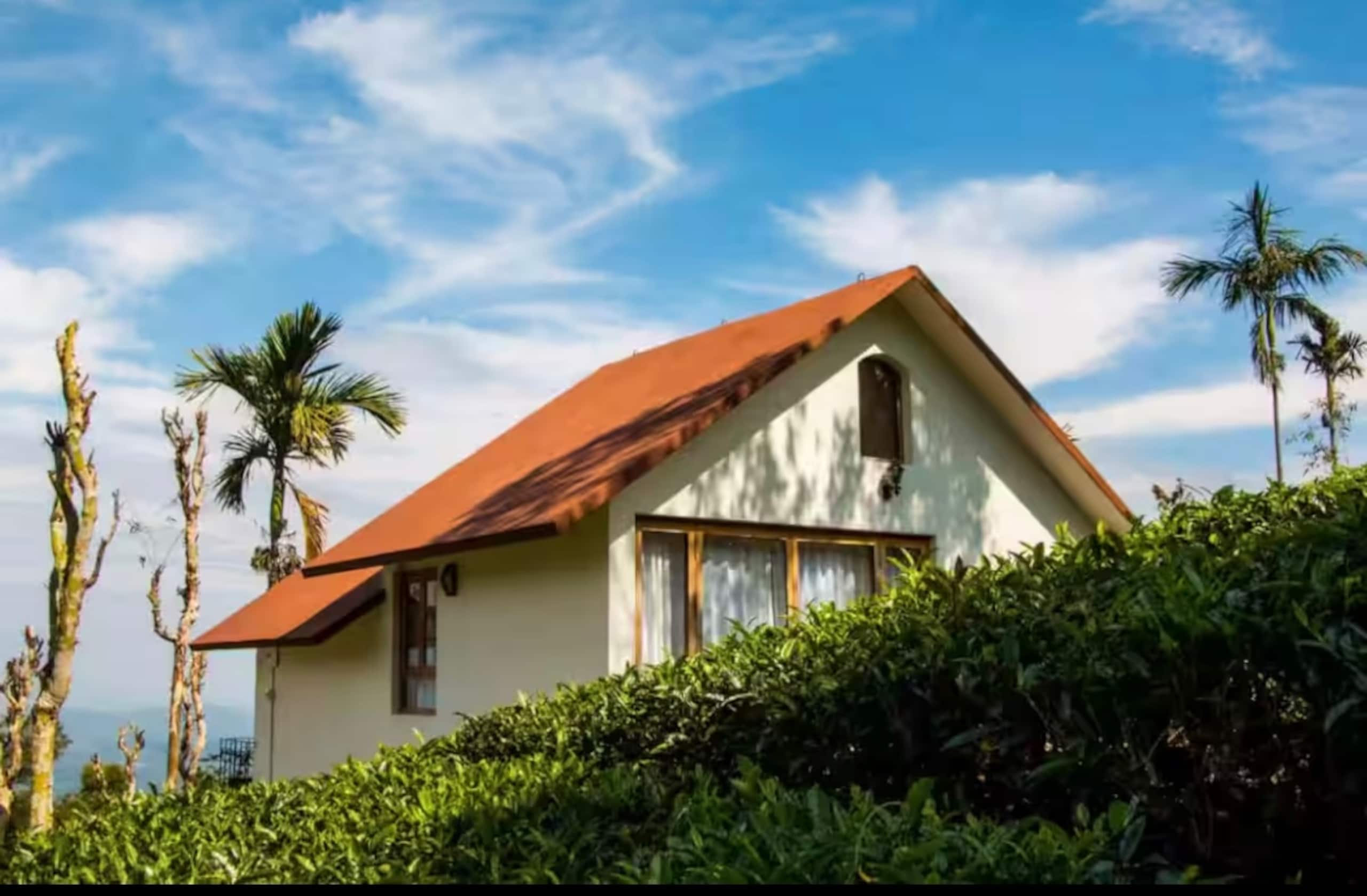 Private Hillside Stay | Tea Estate Views 5