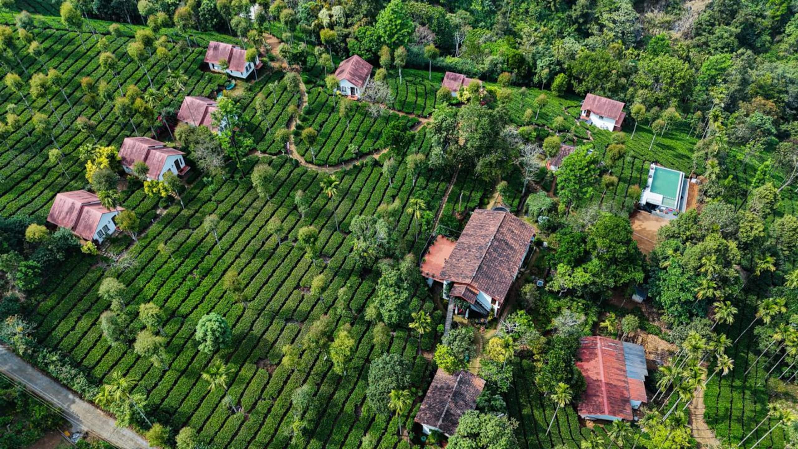 Private Hillside Stay | Tea Estate Views 19
