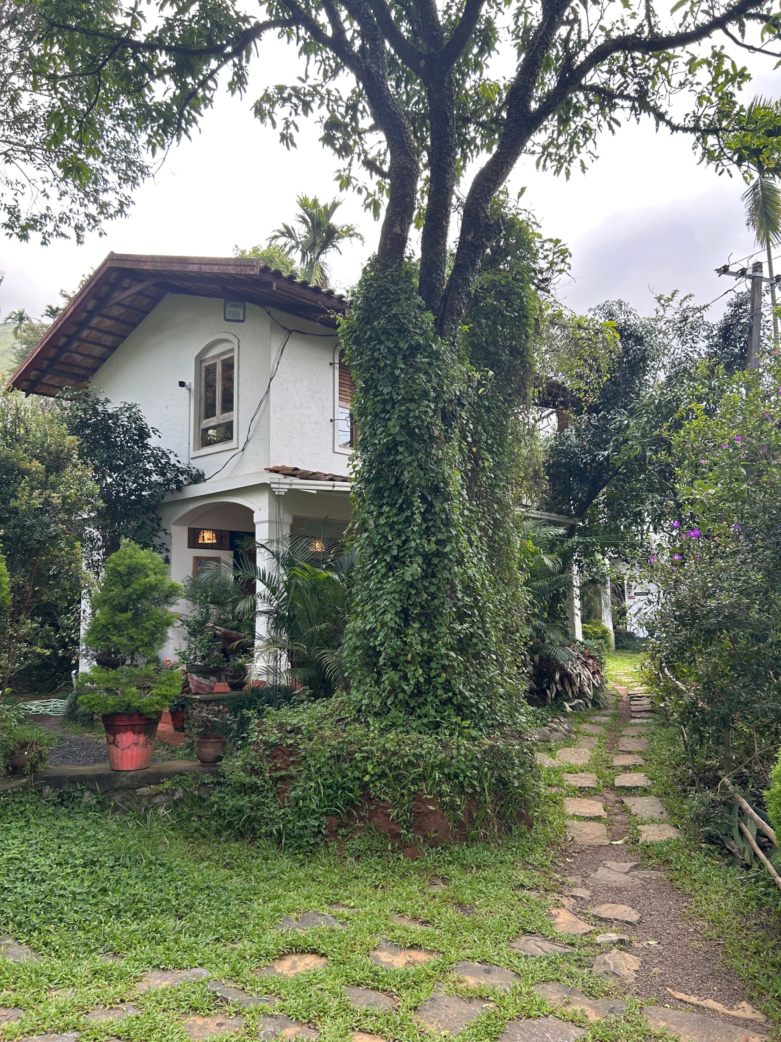Private Hillside Stay | Tea Estate Views 15