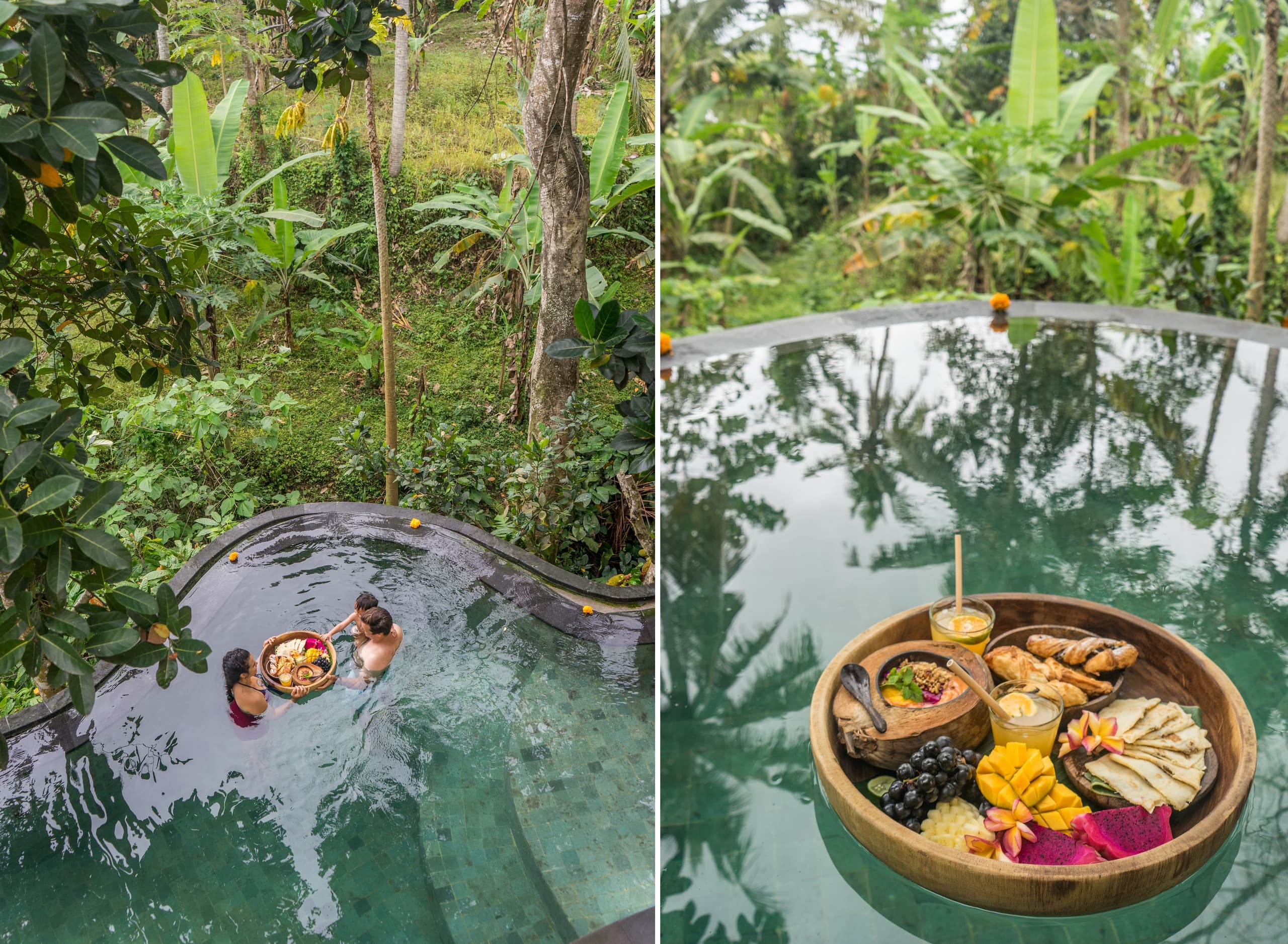 5BR NAUTILUS TREEHOUSE private quiet amid nature 9