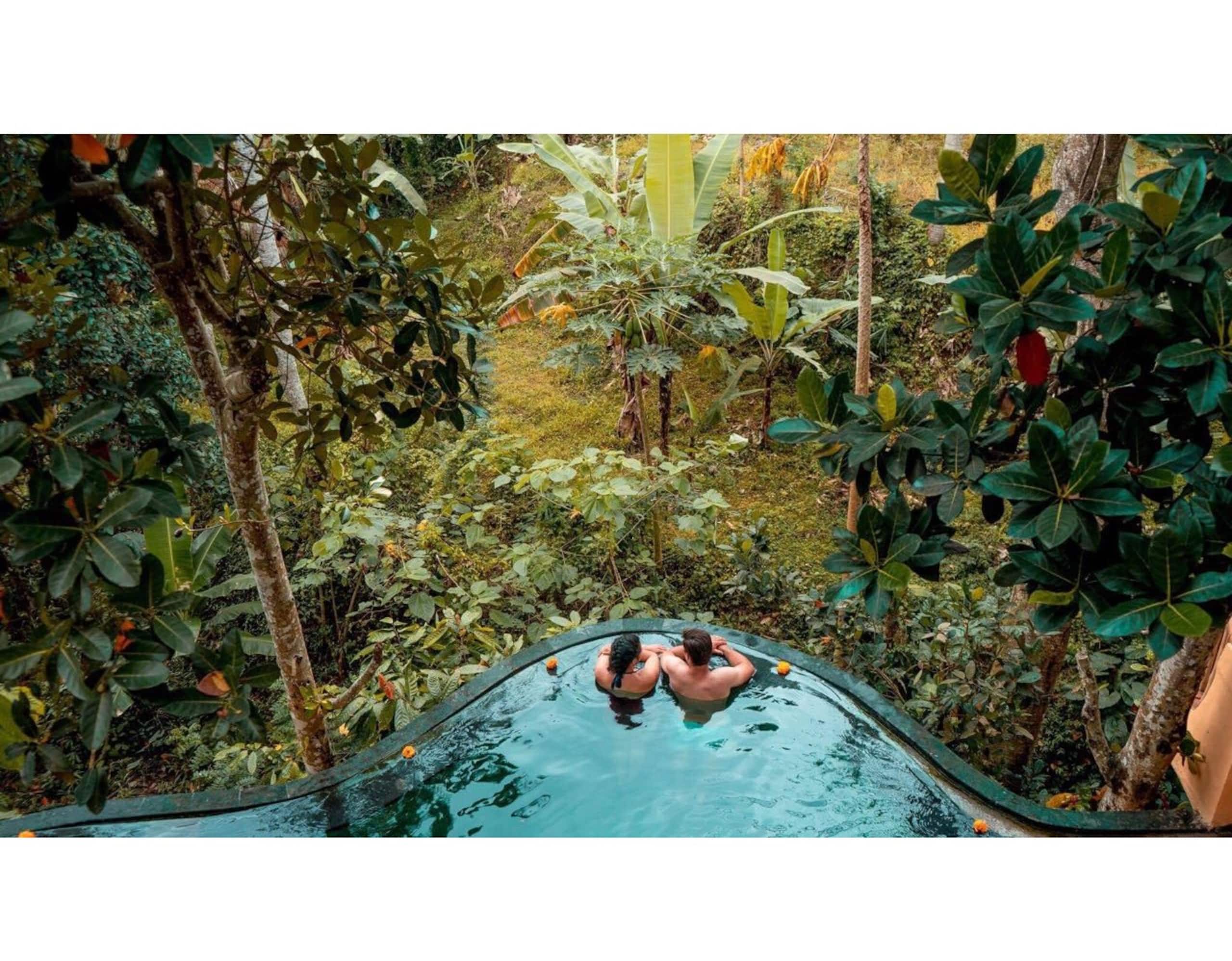5BR NAUTILUS TREEHOUSE private quiet amid nature 10
