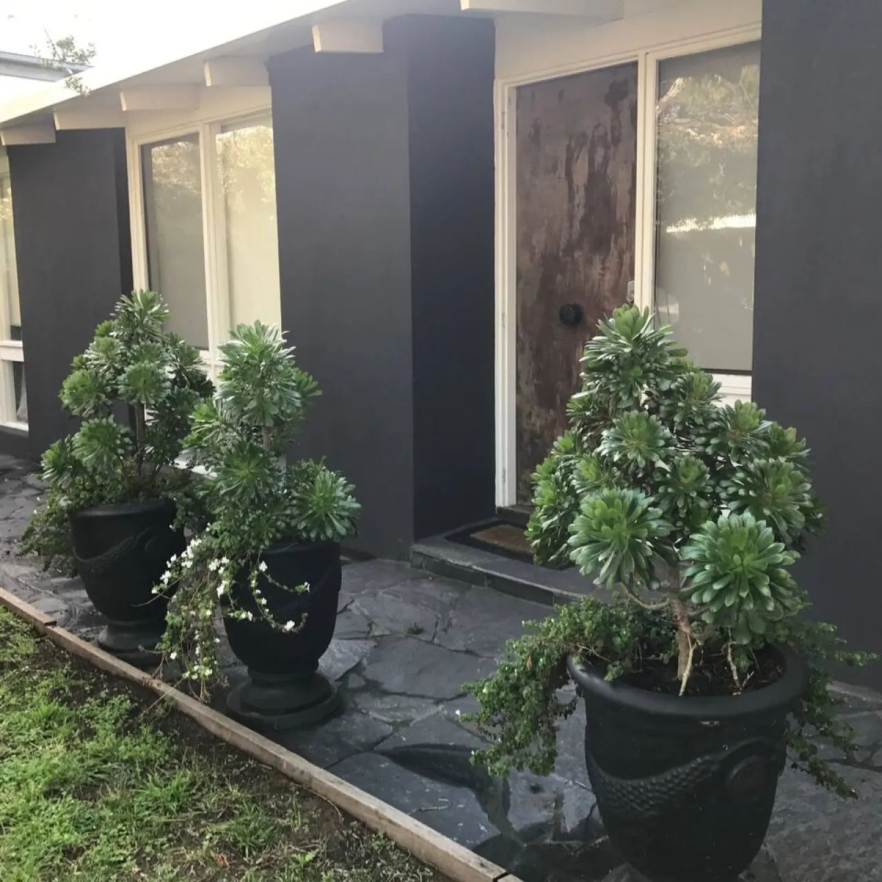 Chiara's Art Cottage 1BR Coastal Garden Retreat 20
